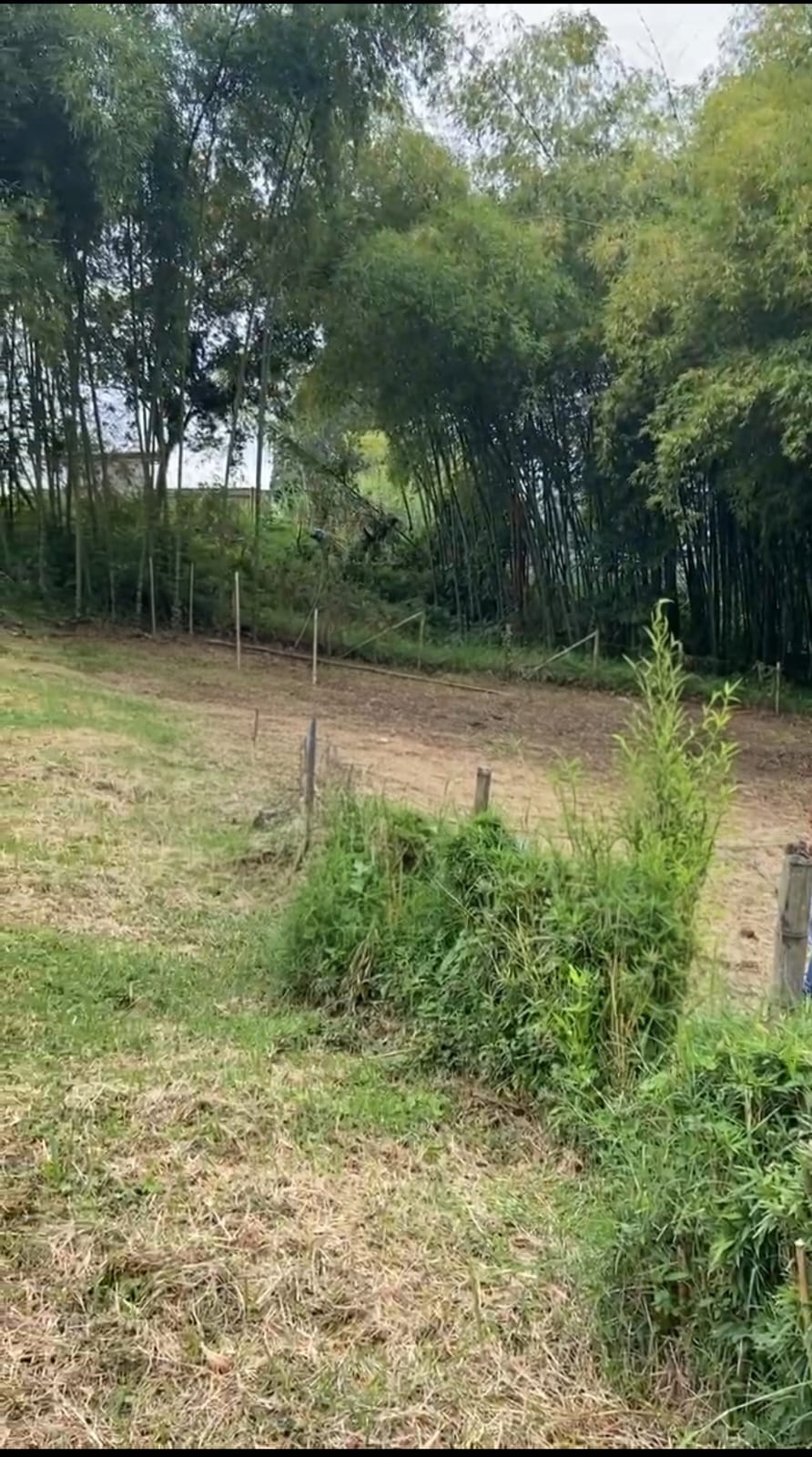 Foto de Lote / terreno en Venta en Via armenia, Pereira - 4 - 279066595