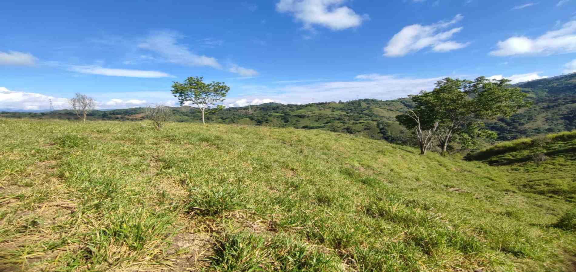 Foto de Lote / terreno en Venta en Cerritos, Pereira - 17 - 279064552