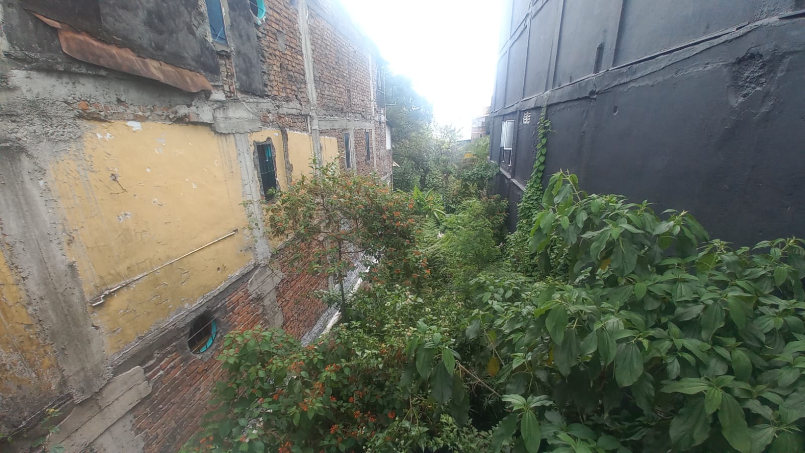 Foto de Lote / terreno en Venta en Fundadores, Armenia  - 9 - 279056606
