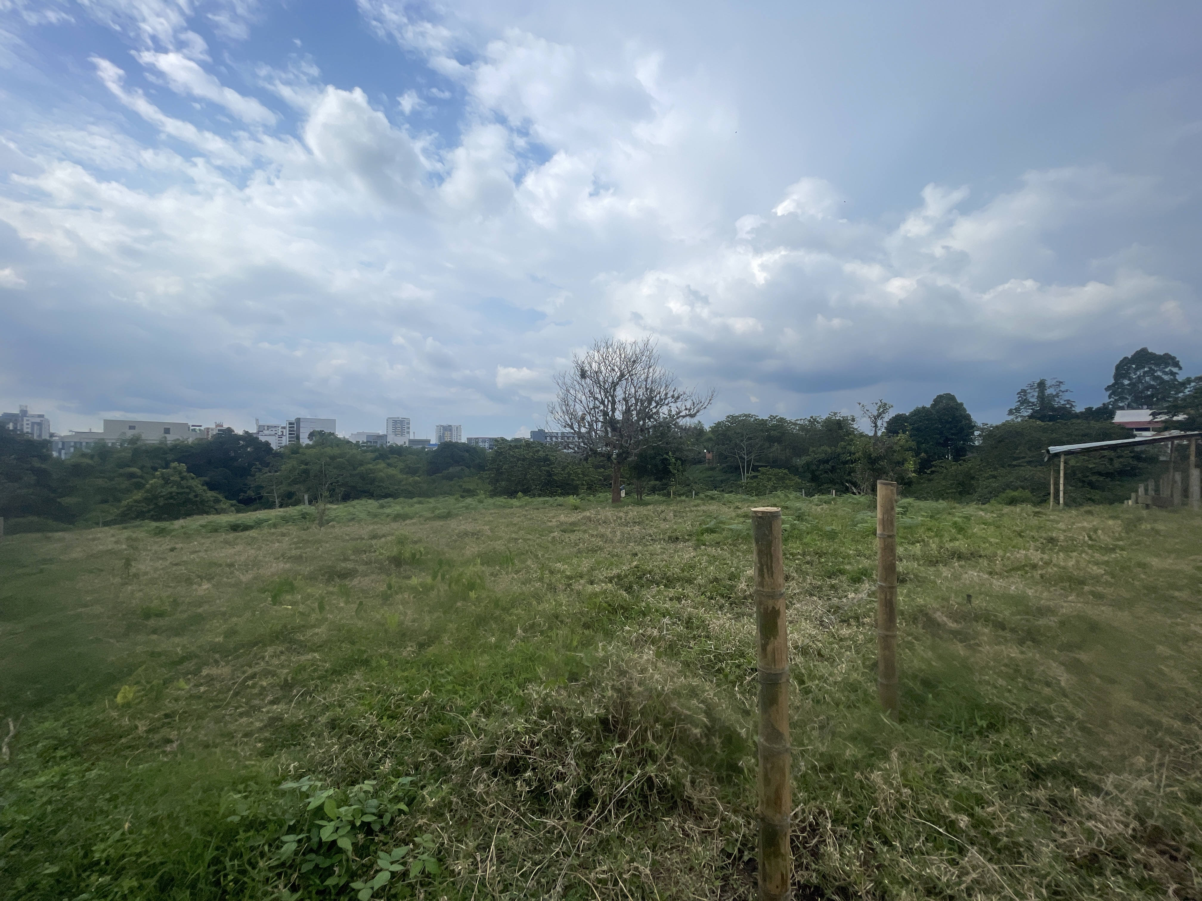 Foto de Lote / terreno en Venta en Avenida centenario, Armenia  - 8 - 279065799