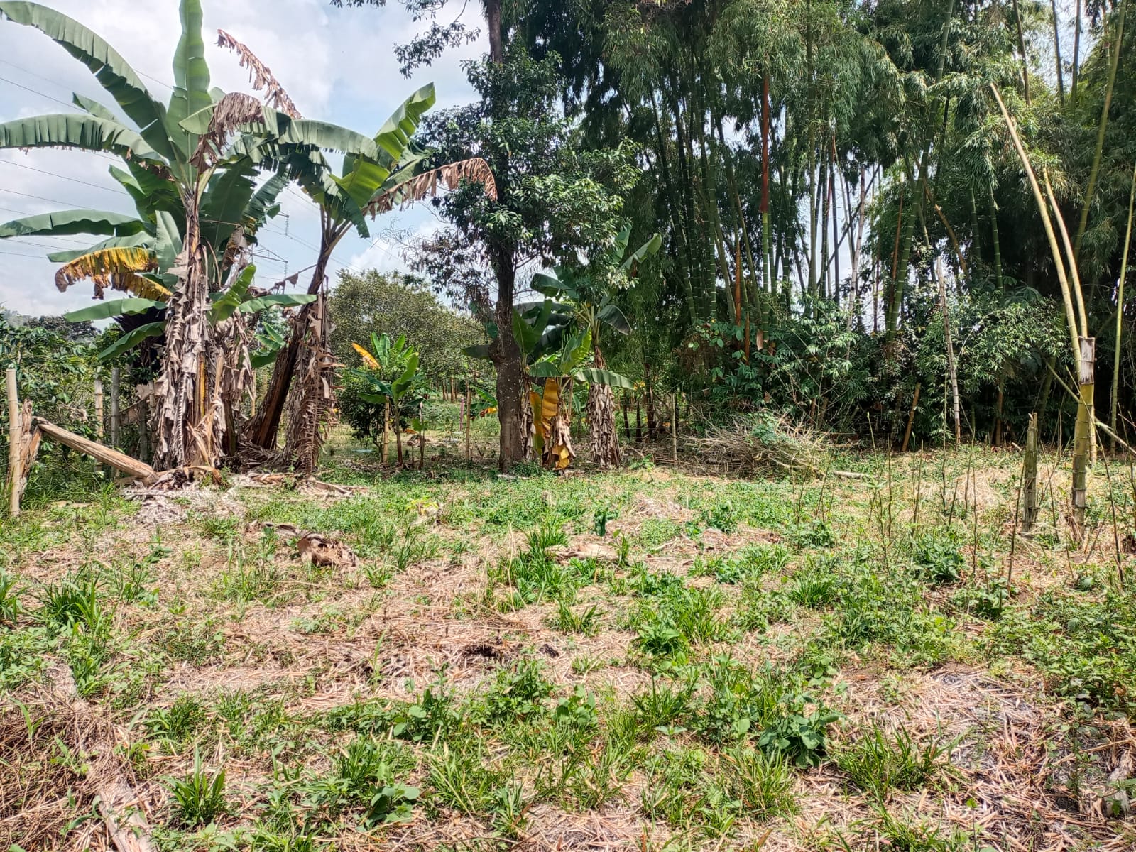 Foto de Lote / terreno en Venta en Santa rosa de cabal, Santa rosa de cabal - 7 - 279059203