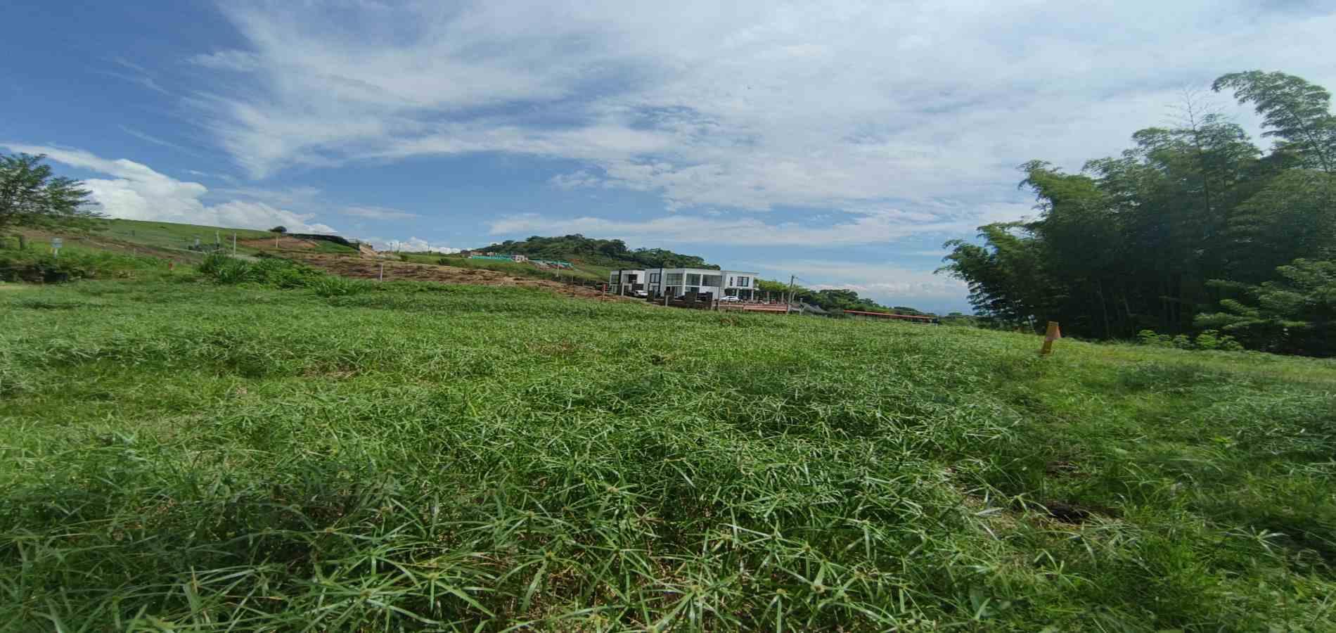 Foto de Lote / terreno en Venta en Vereda santagueda, Palestina - 2 - 279064609