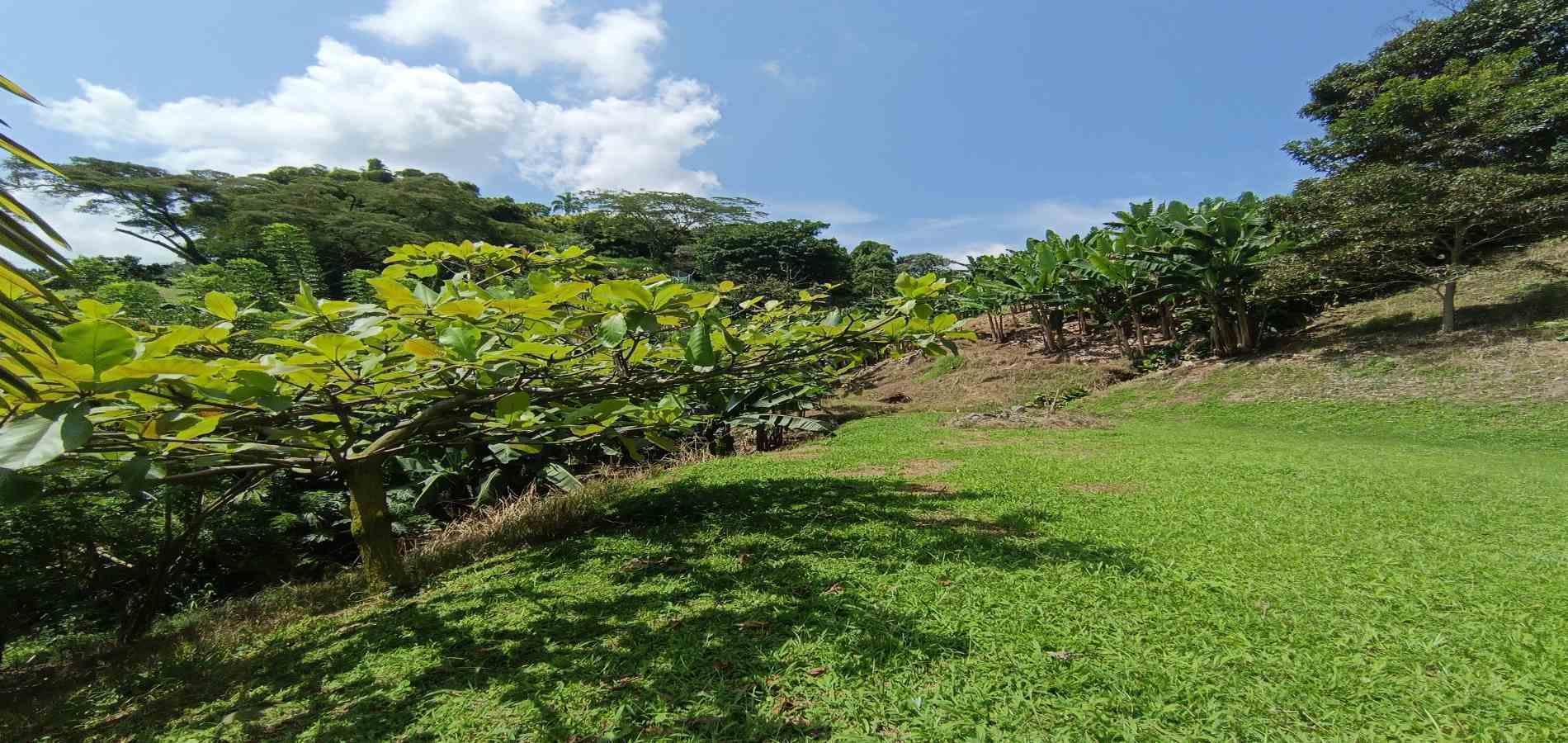 Foto de Lote / terreno en Venta en La plata, Palestina - 17 - 279067174