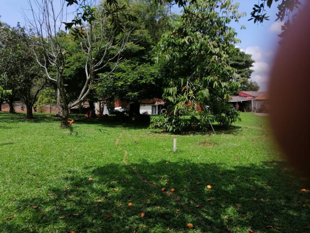 Foto de Lote / terreno en Venta en Cerritos, Pereira - 12 - 279025576