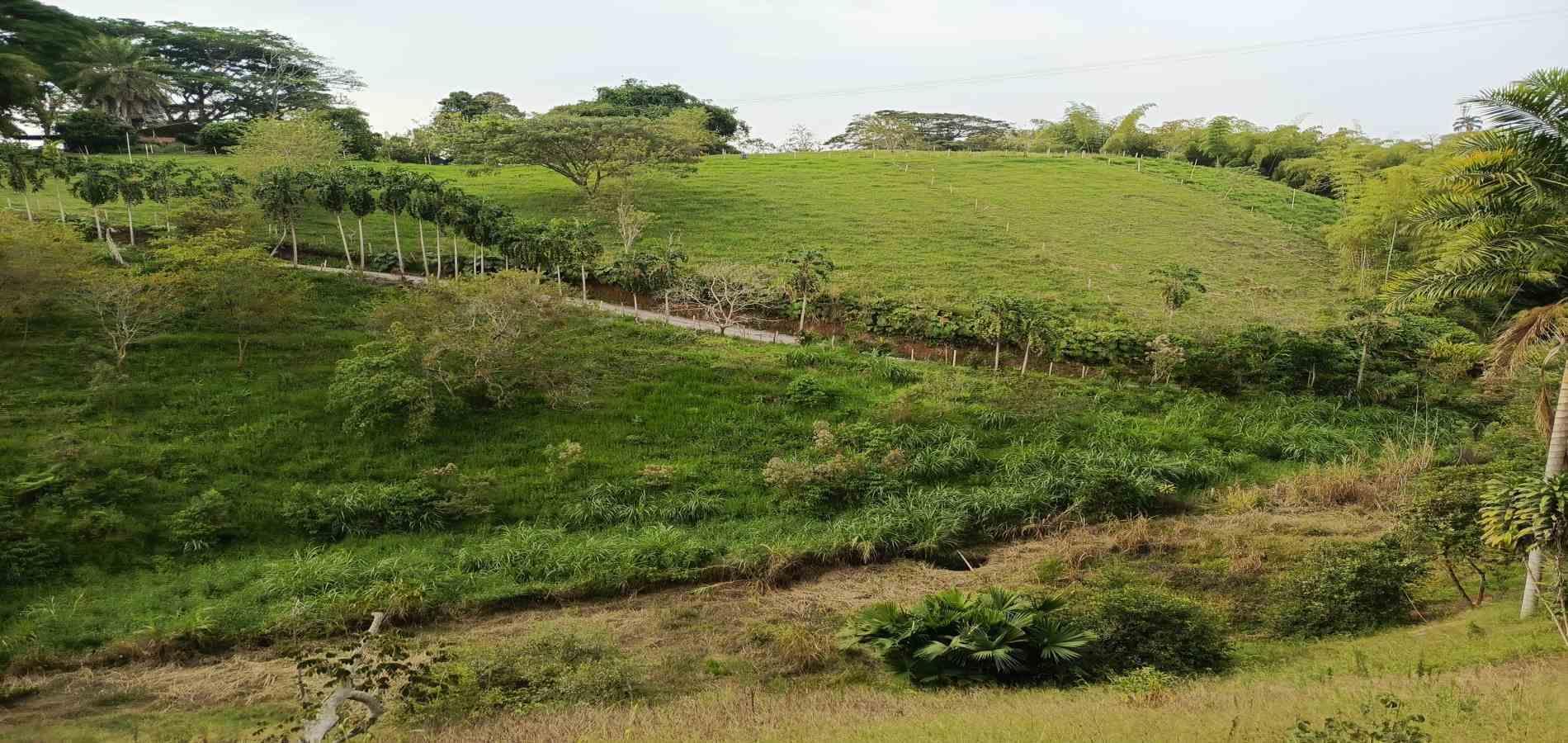 Foto de Lote / terreno en Venta en Via alcala, Pereira - 11 - 279061897