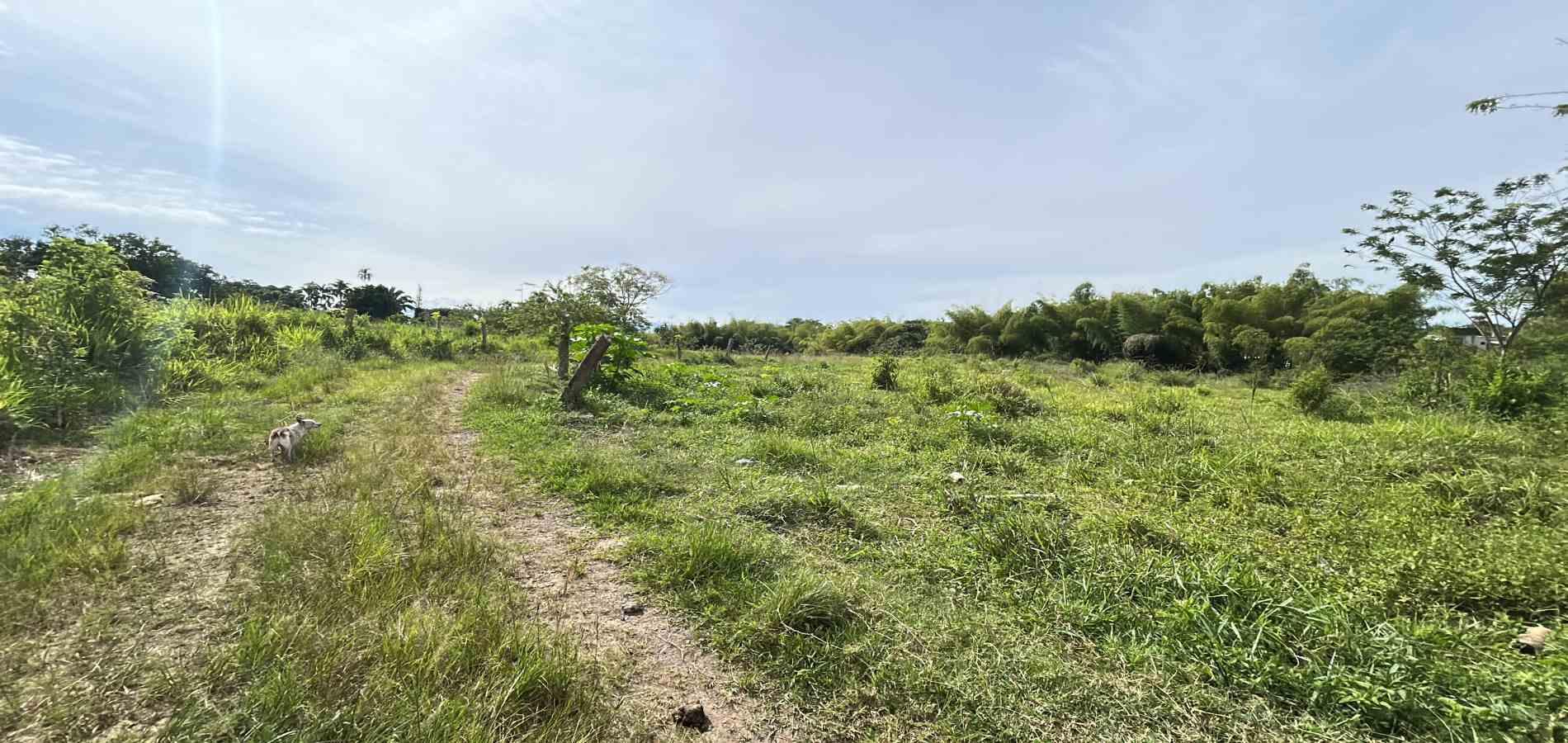 Foto de Lote / terreno en Venta en Cerritos, Pereira - 2 - 279068090