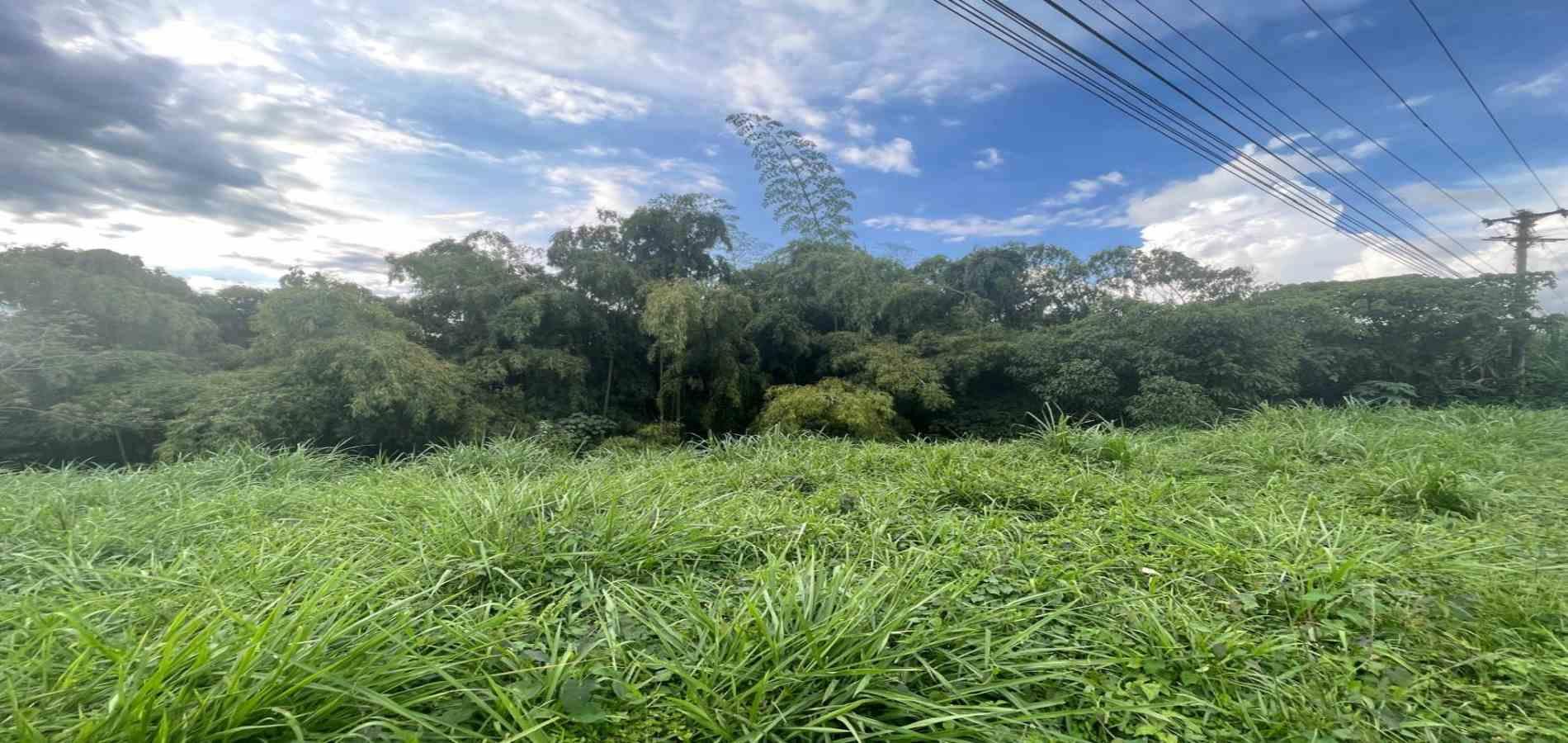 Foto de Lote / terreno en Venta en Avenida centenario, Armenia  - 4 - 279063188