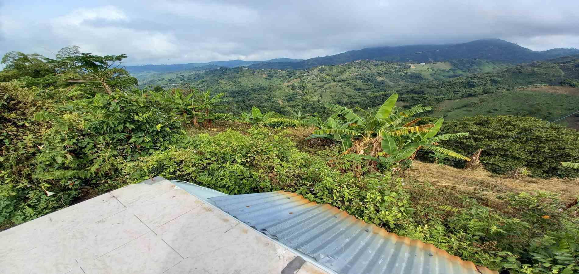 Foto de Finca en Venta en Vereda la argelia, Manizales - 29 - 279066671