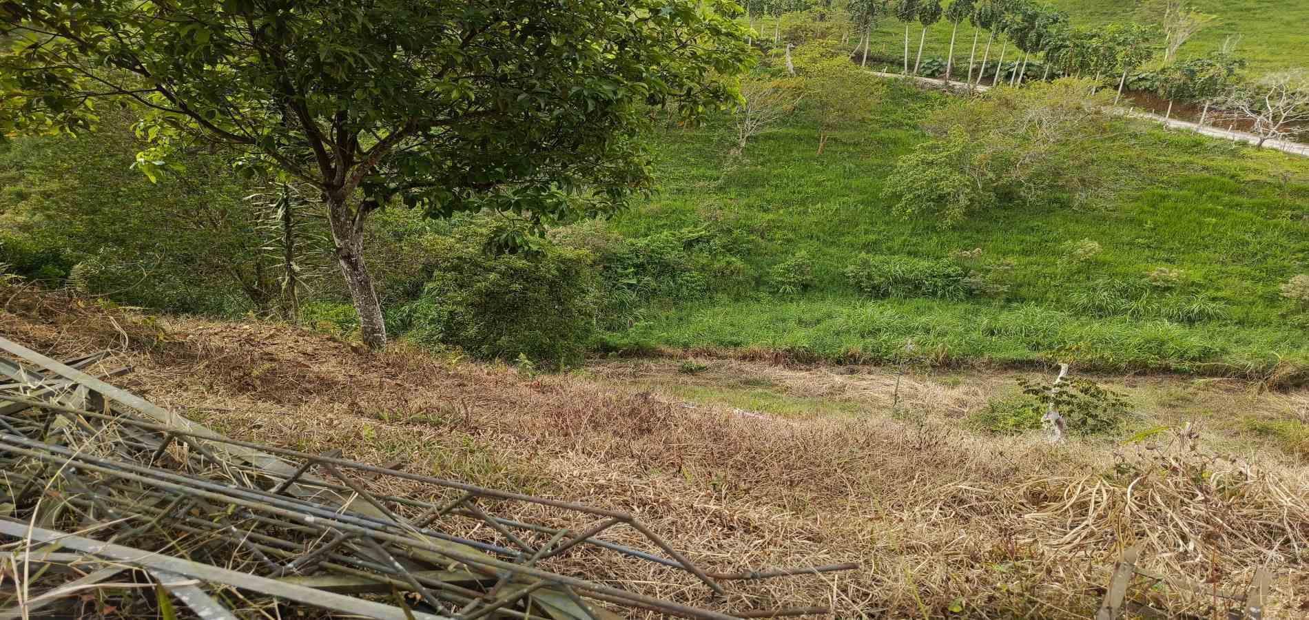 Foto de Lote / terreno en Venta en Via alcala, Pereira - 12 - 279061897
