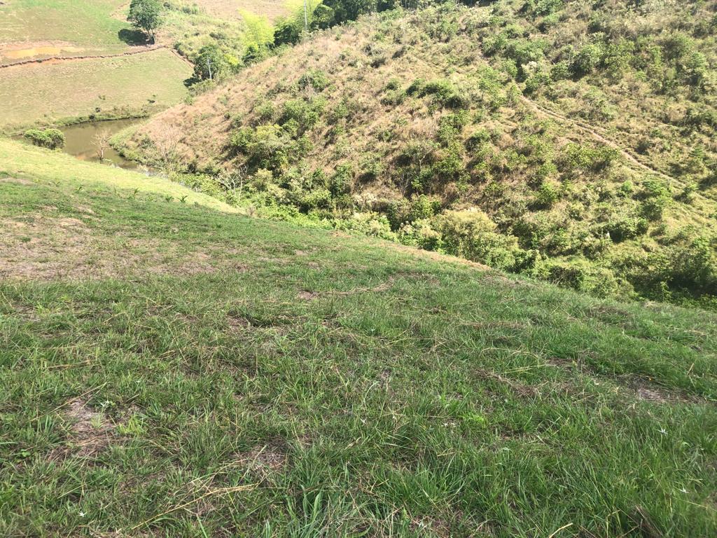 Foto de Lote / terreno en Venta en Cerritos, Pereira - 1 - 279055622