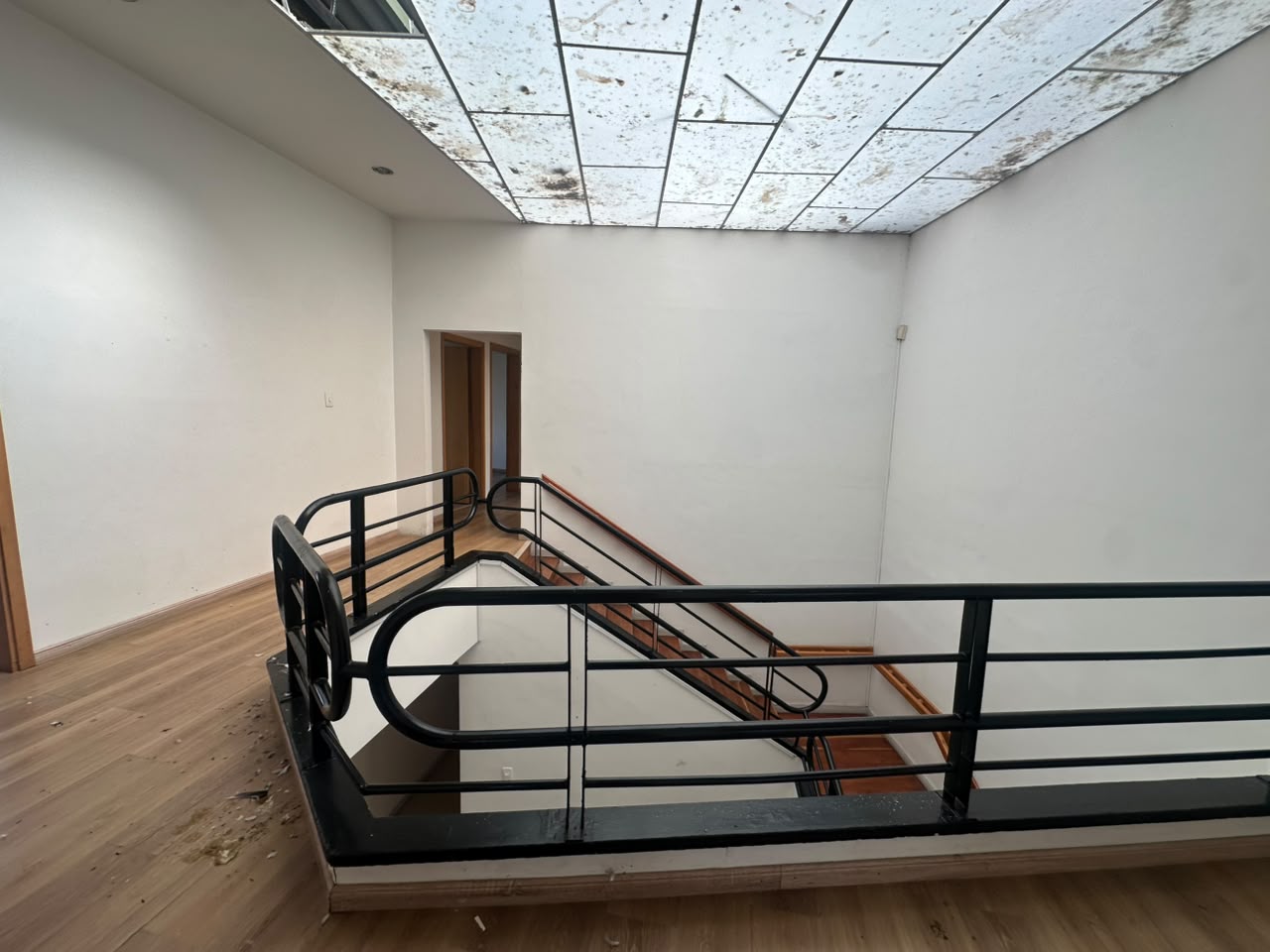 Foto de Local en Arriendo en Palogrande, Manizales - 20 - 17992