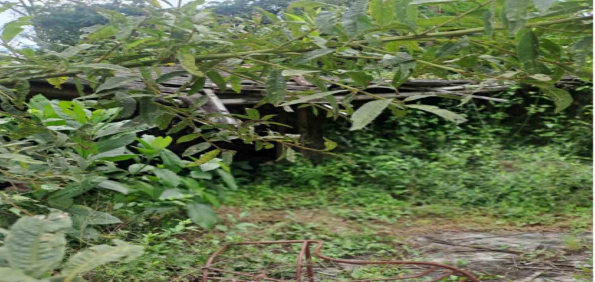 Foto de Lote / terreno en Venta en Las pavas, Manizales - 10 - 279059784