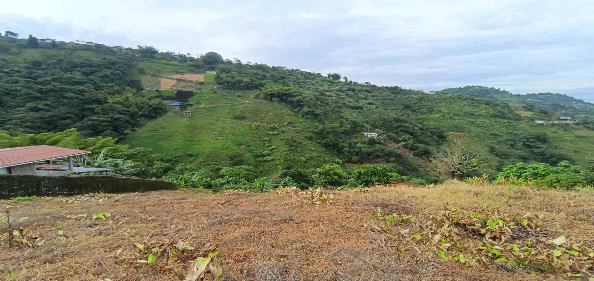Foto de Lote / terreno en Arriendo en La linda, Manizales - 15 - 279069062