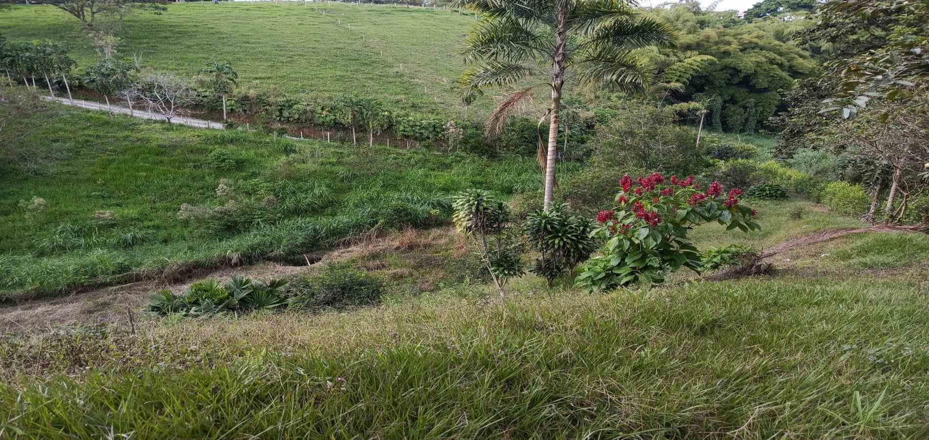 Foto de Lote / terreno en Venta en Via alcala, Pereira - 2 - 279061897