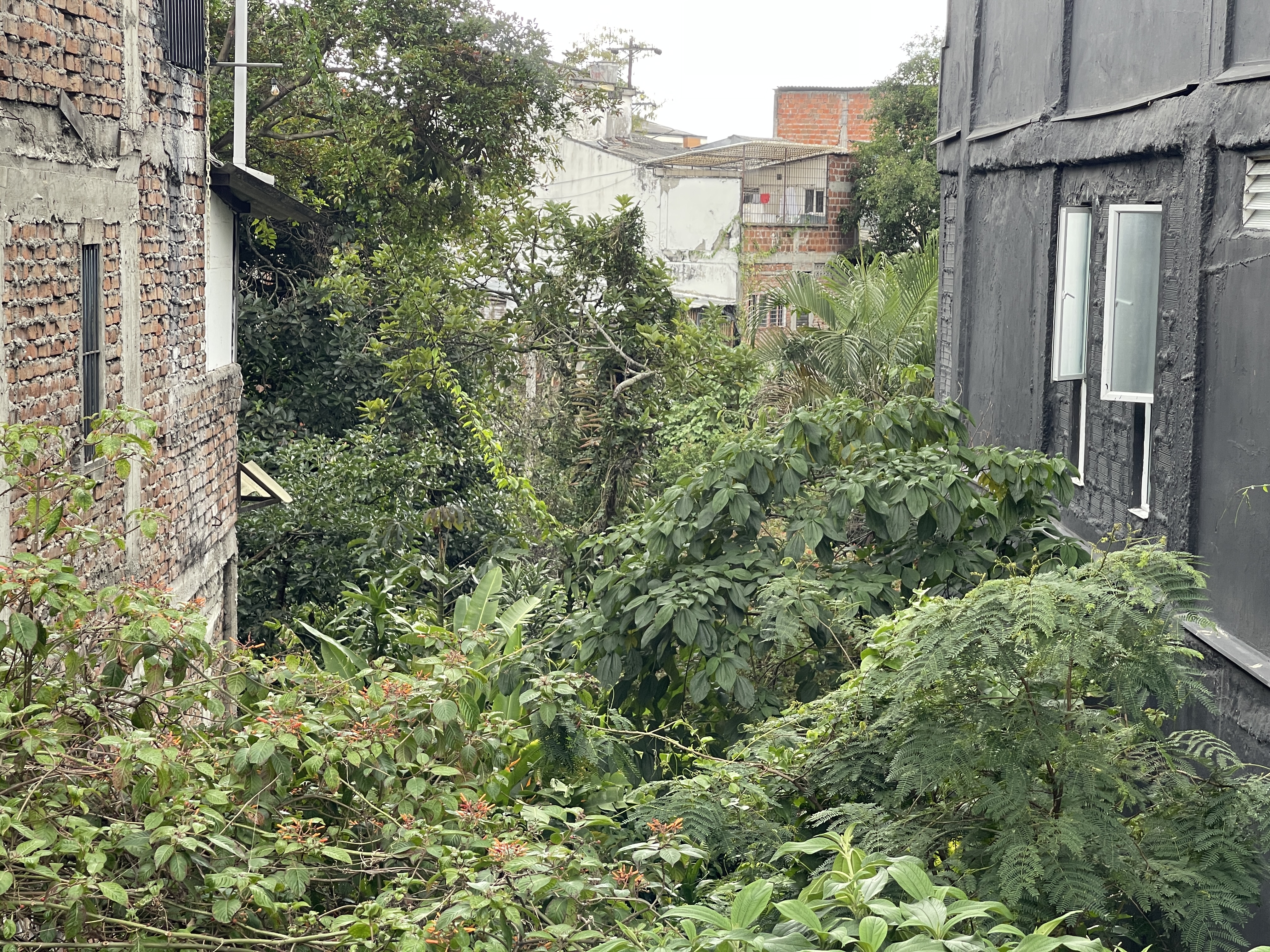 Foto de Lote / terreno en Venta en Galan, Armenia  - 5 - 279065396