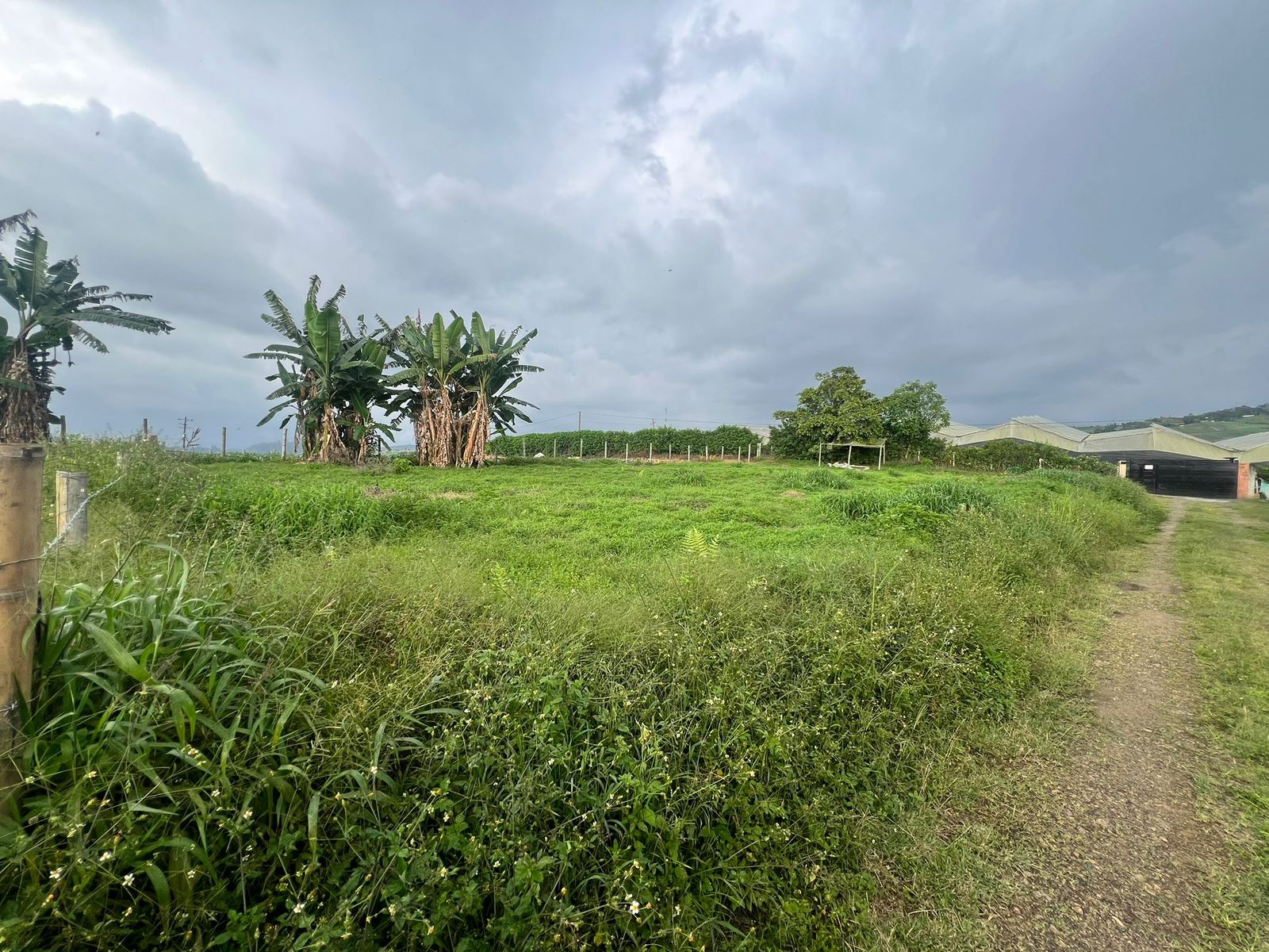 Foto de Lote / terreno en Venta en Vereda la bella, Pereira - 1 - 279065985
