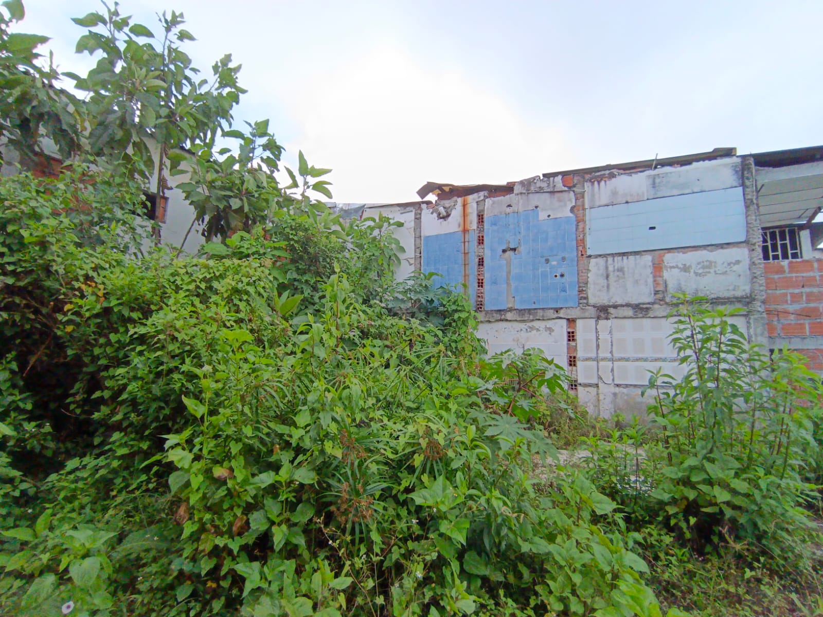 Foto de Lote / terreno en Venta en Fátima, Manizales - 11 - 279068979