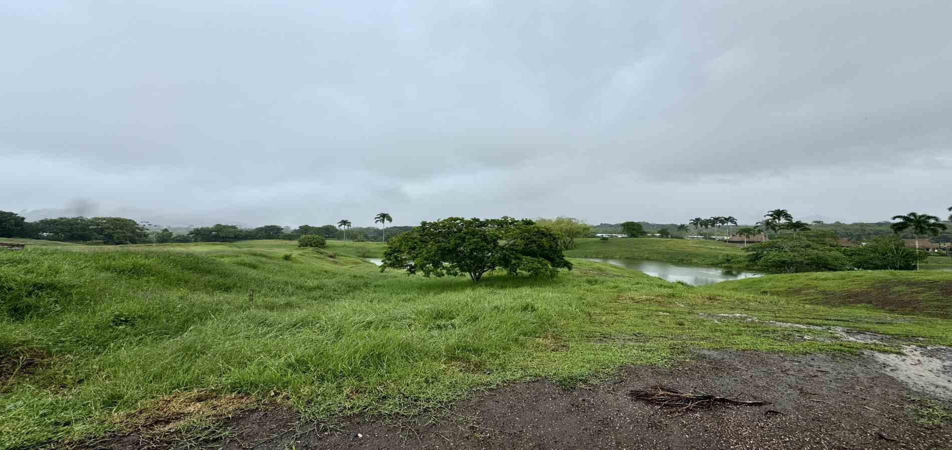Foto de Lote / terreno en Venta en Cerritos, Pereira - 10 - 279059921
