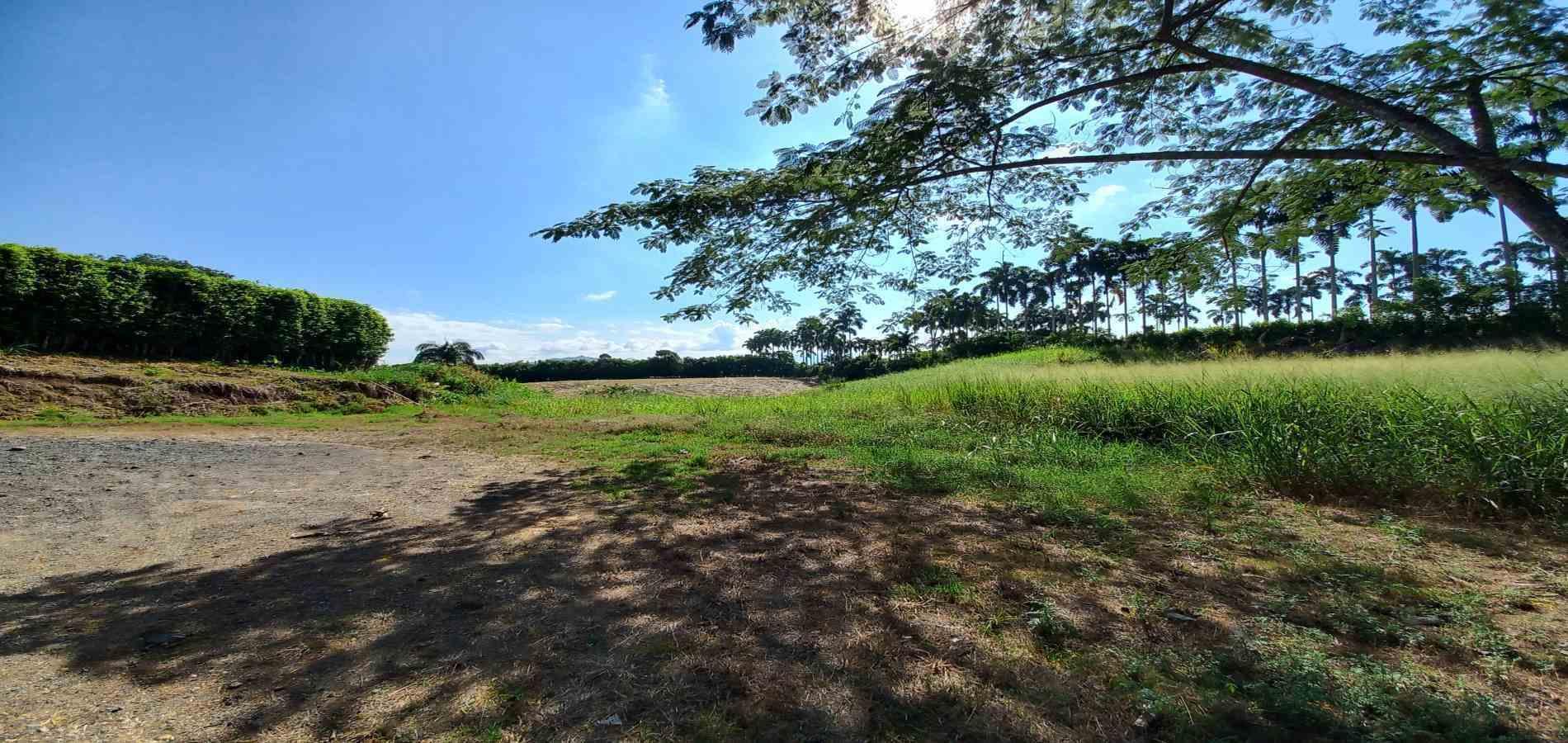 Foto de Lote / terreno en Venta en Cerritos, Pereira - 1 - 279069860