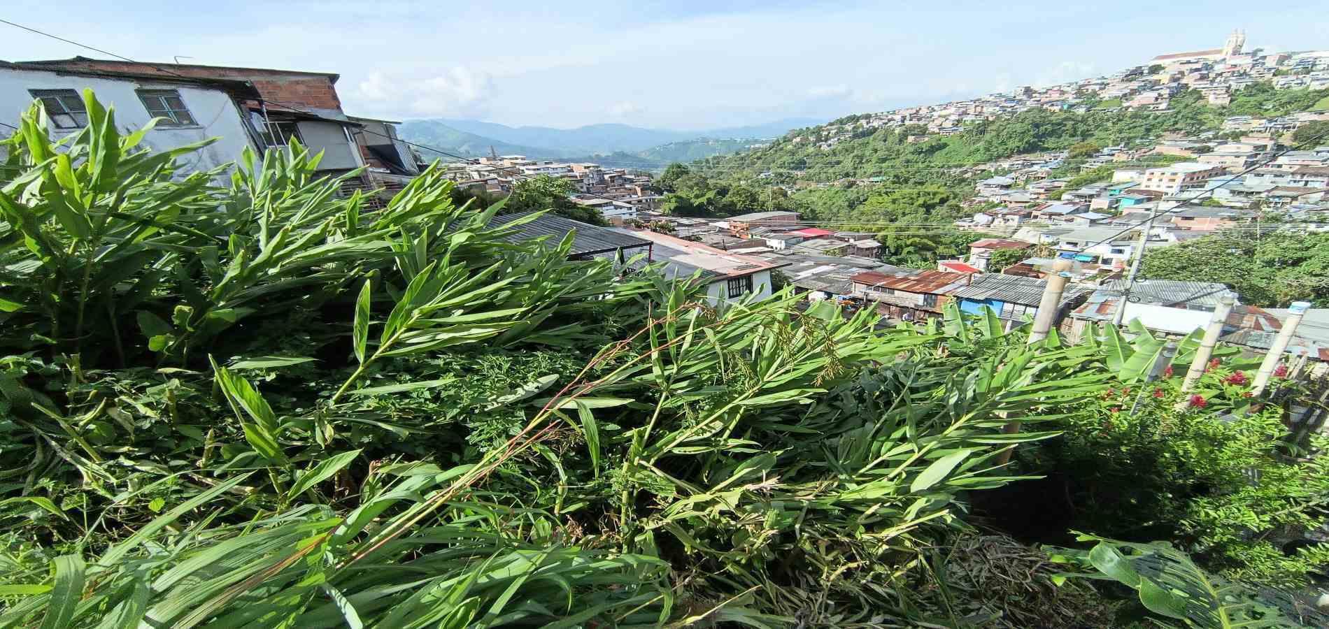 Foto de Lote / terreno en Venta en Campo amor, Manizales - 9 - 279067419