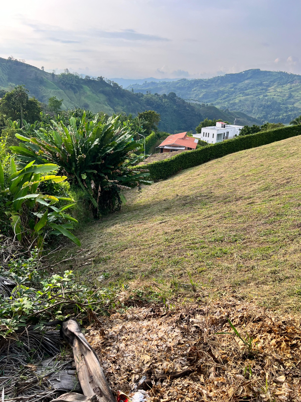 Foto de Lote / terreno en Venta en Vereda santagueda, Palestina - 5 - 279063662
