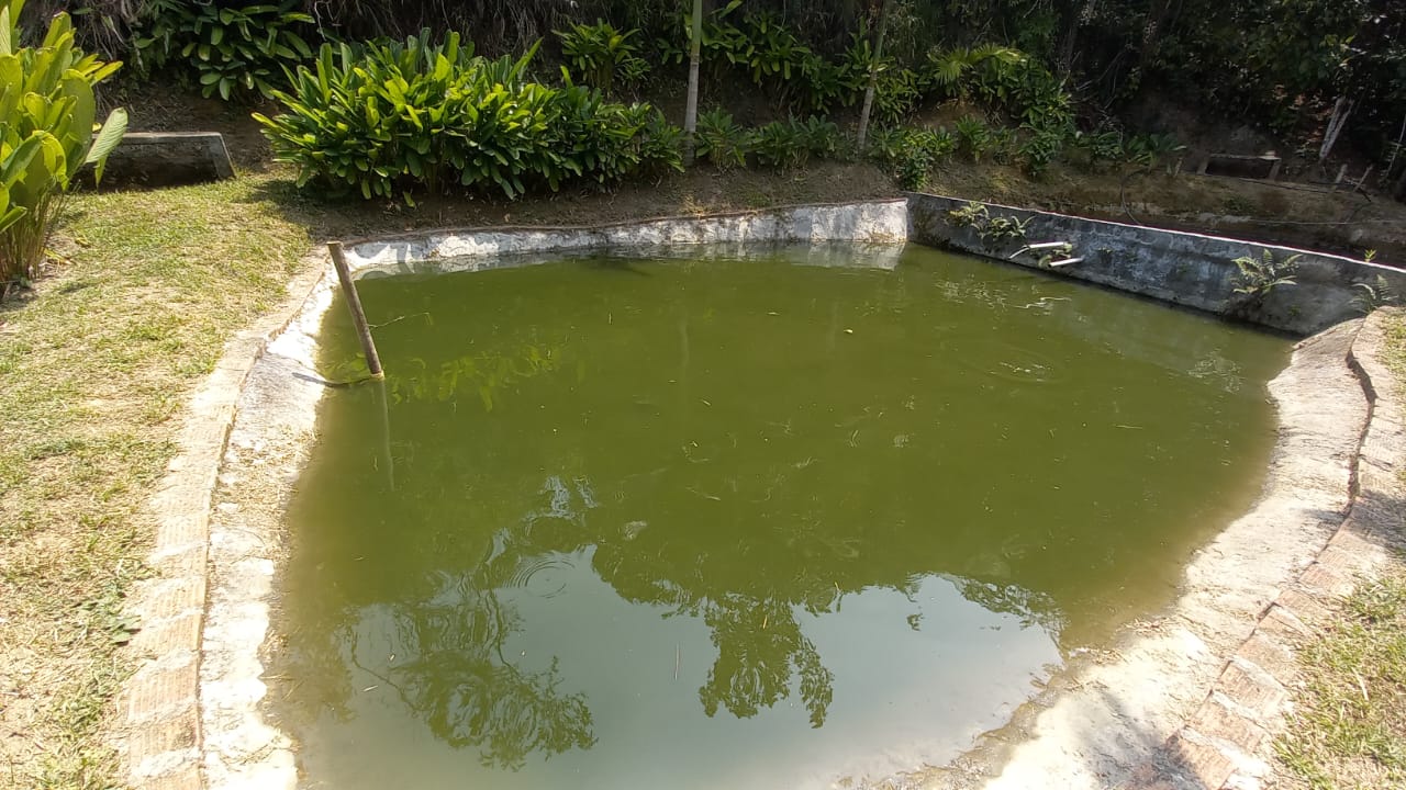 Foto de Lote / terreno en Venta en San peregrino, Manizales - 8 - 279056653