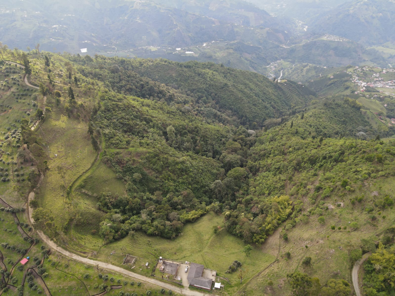 Foto de Finca en Venta en Alto castillo, Villamaria - 1 - 279066724