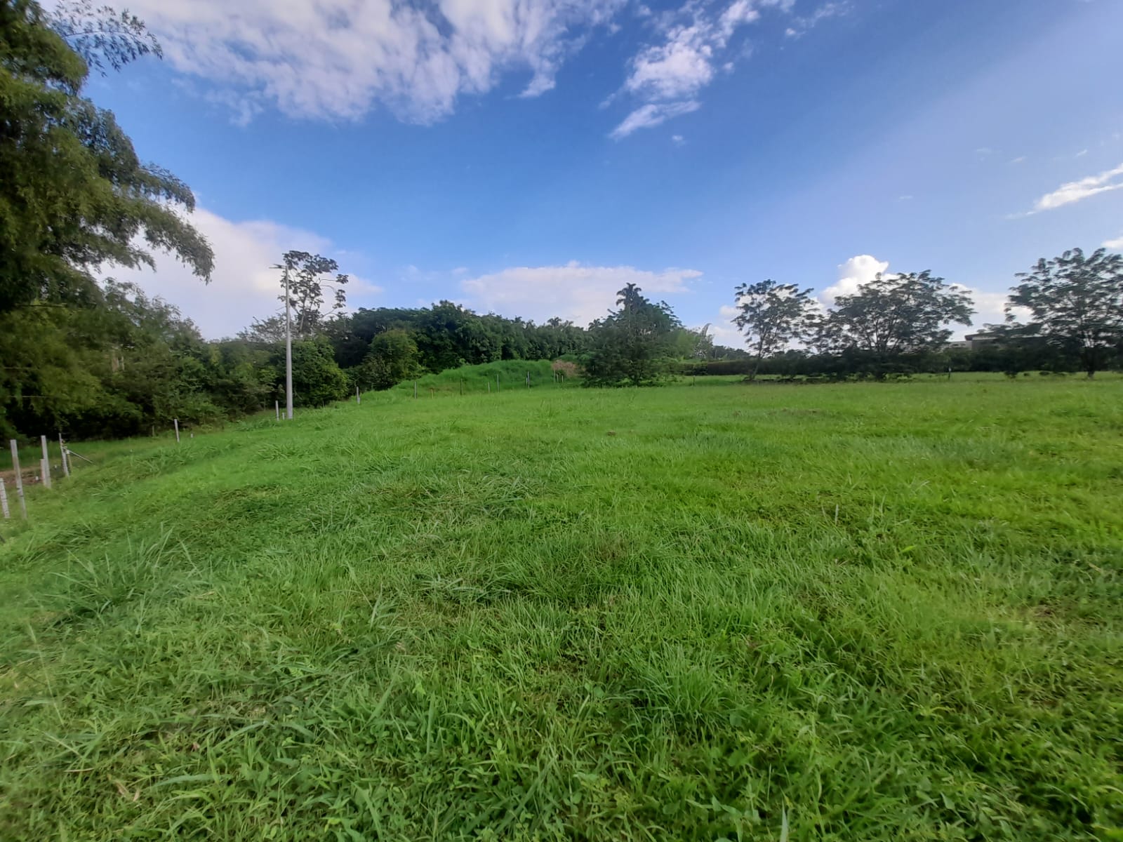 Foto de Lote / terreno en Venta en La floresta, Pereira - 6 - 279065198