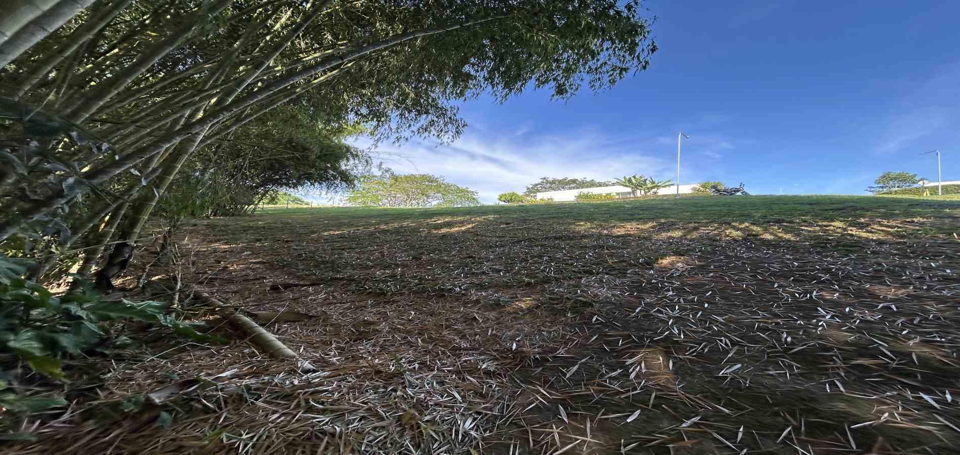Foto de Lote / terreno en Venta en Cerritos, Pereira - 16 - 279069202