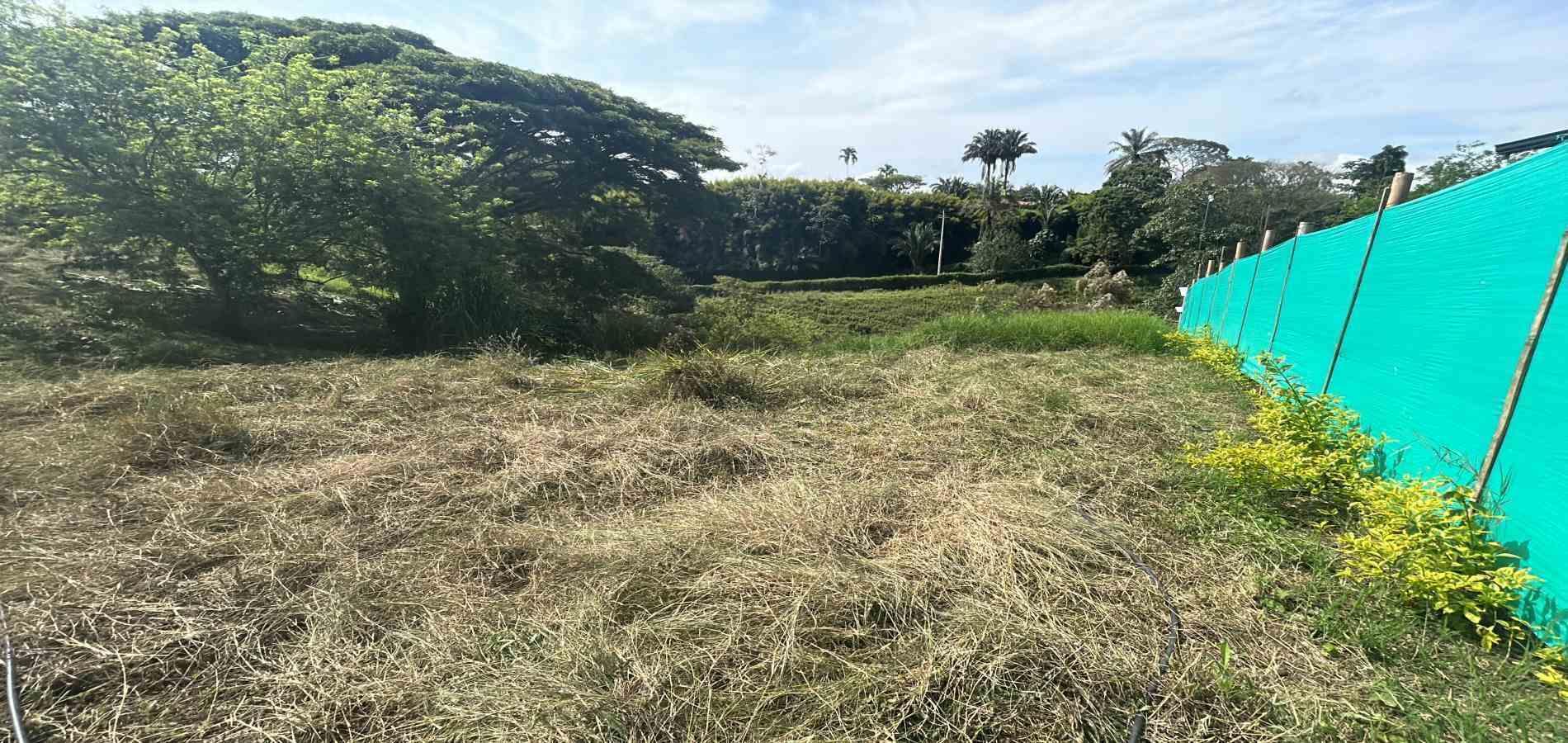 Foto de Lote / terreno en Venta en Via alcala, Pereira - 5 - 279066753