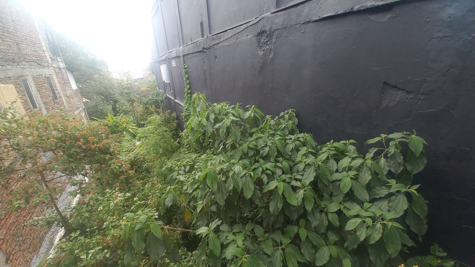 Foto de Lote / terreno en Venta en Fundadores, Armenia  - 6 - 279056606
