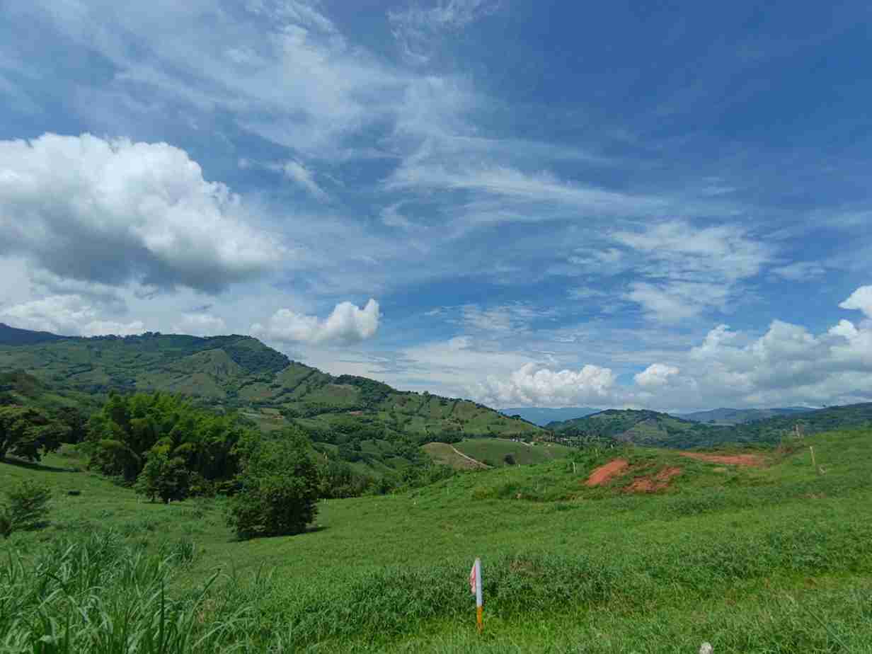 Foto de Lote / terreno para Venta en Vereda santagueda, Palestina - 279064400