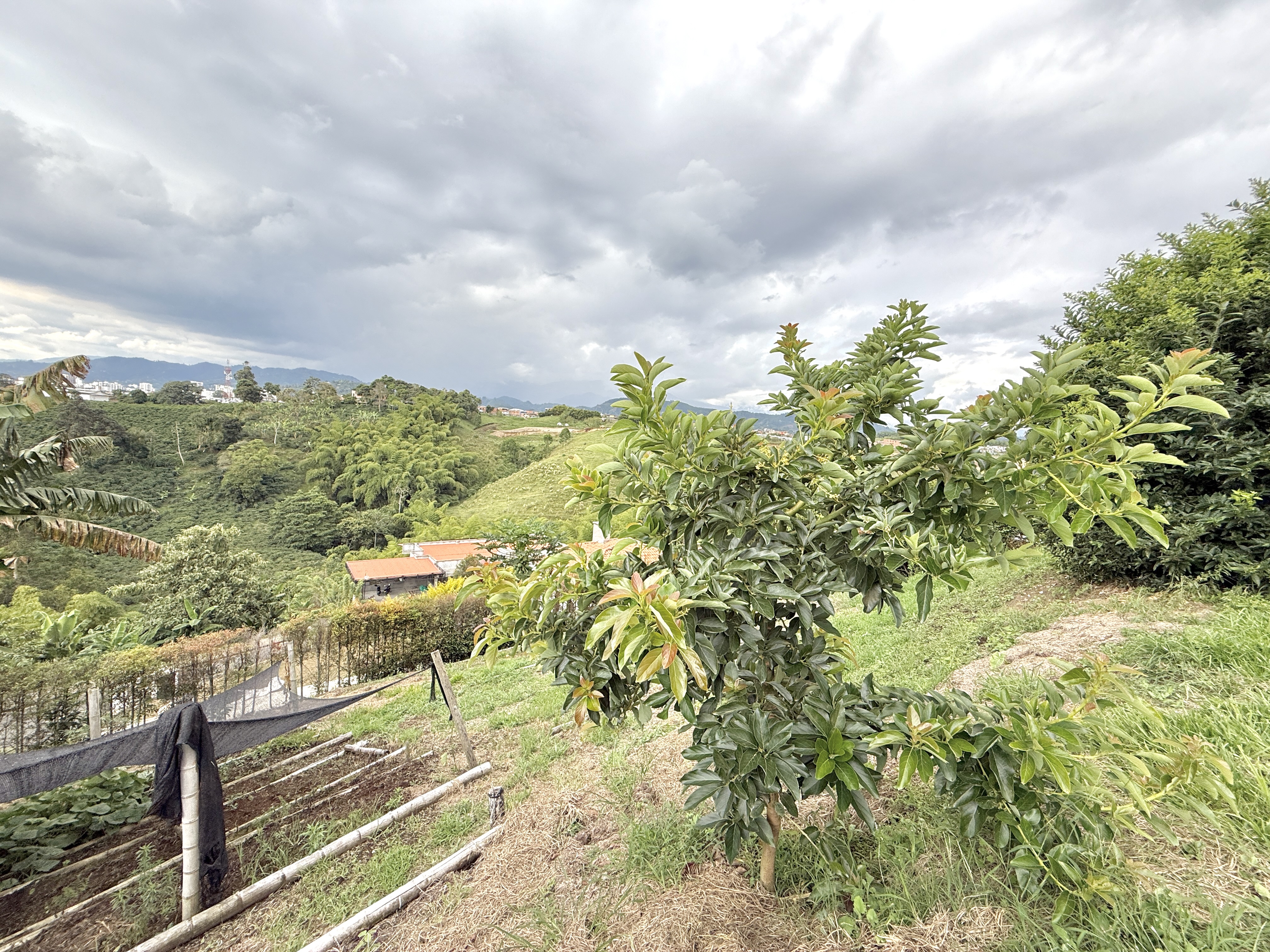 Foto de Casa campestre en Venta en Via armenia, Pereira - 8 - 279064379