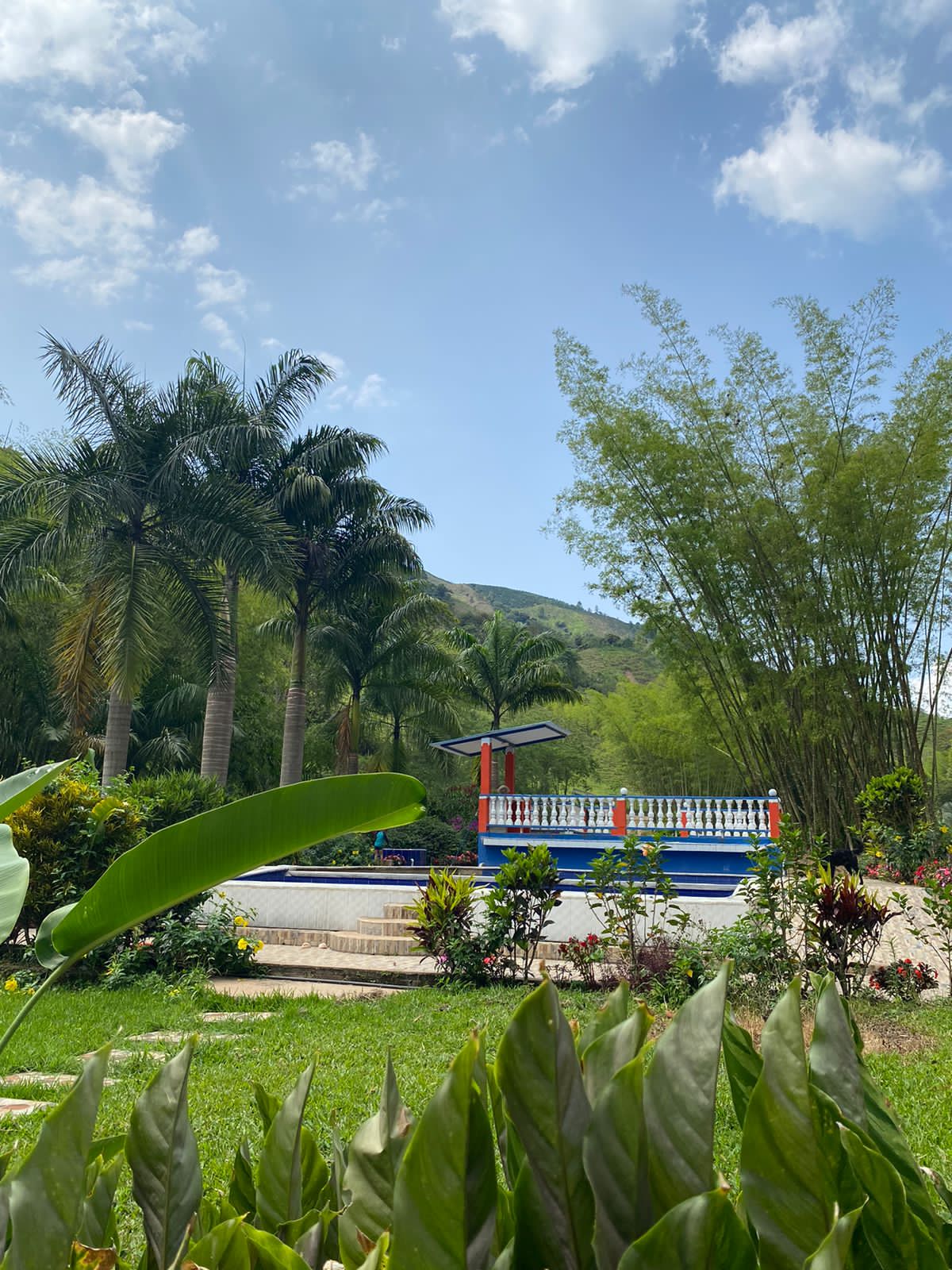 Foto de Finca en Venta en El guineo, Neira - 24 - 279053579