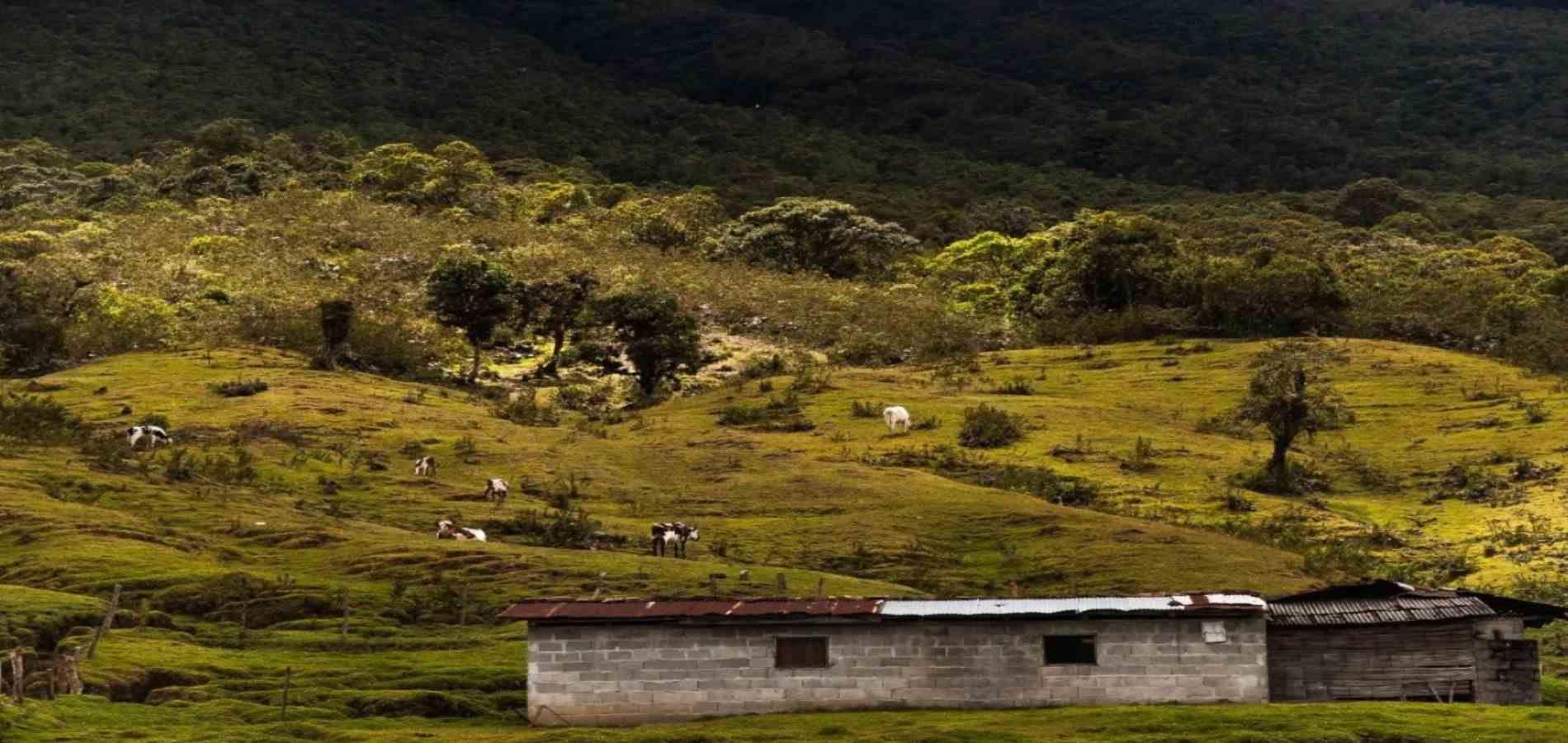 Foto de Lote / terreno para Venta en Herveo, Herveo - 25038