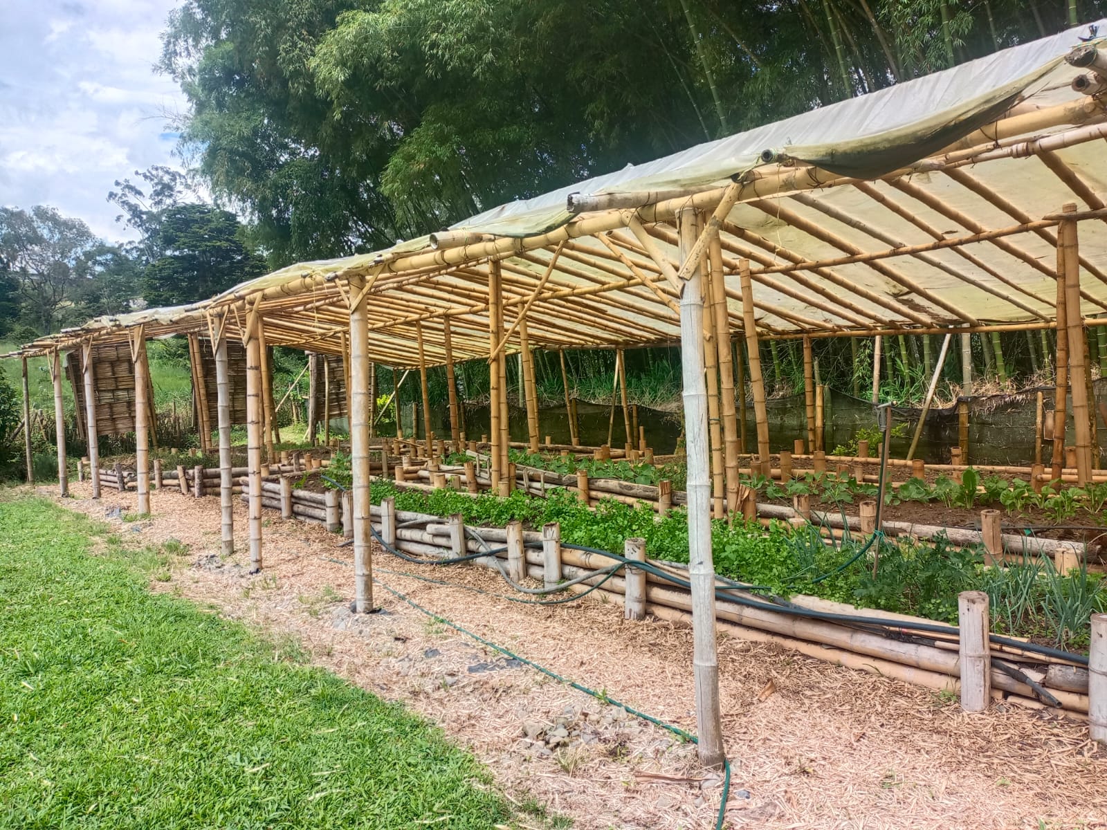 Foto de Finca en Venta en Centro, Santa rosa de cabal - 6 - 279052730