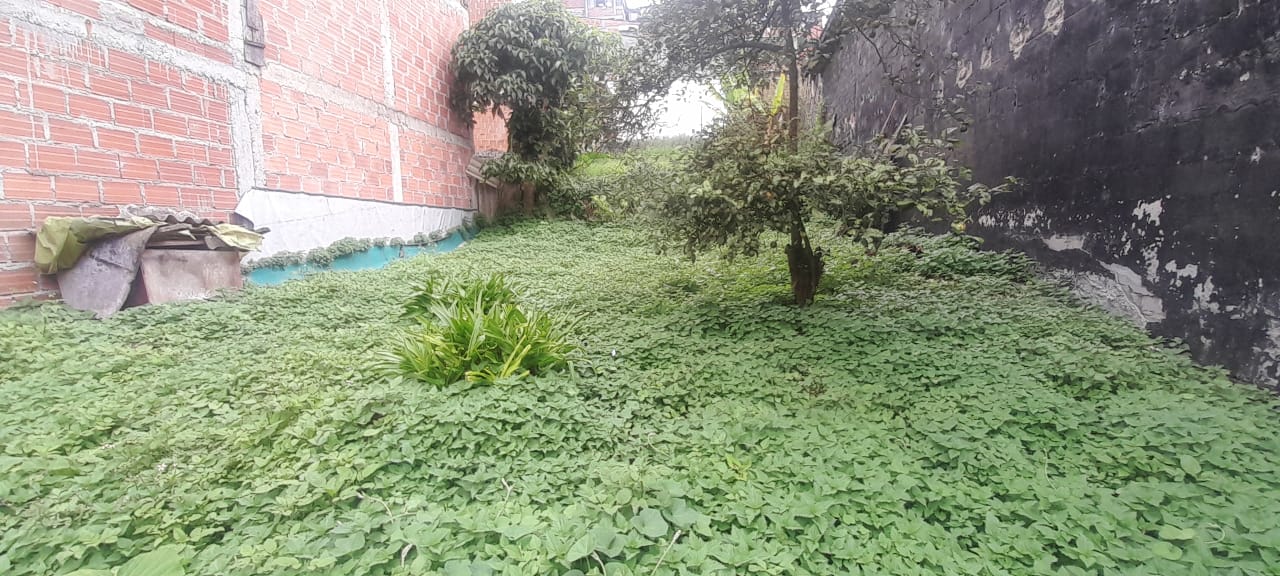 Foto de Lote / terreno en Venta en Urapanes, Villamaria - 2 - 53078