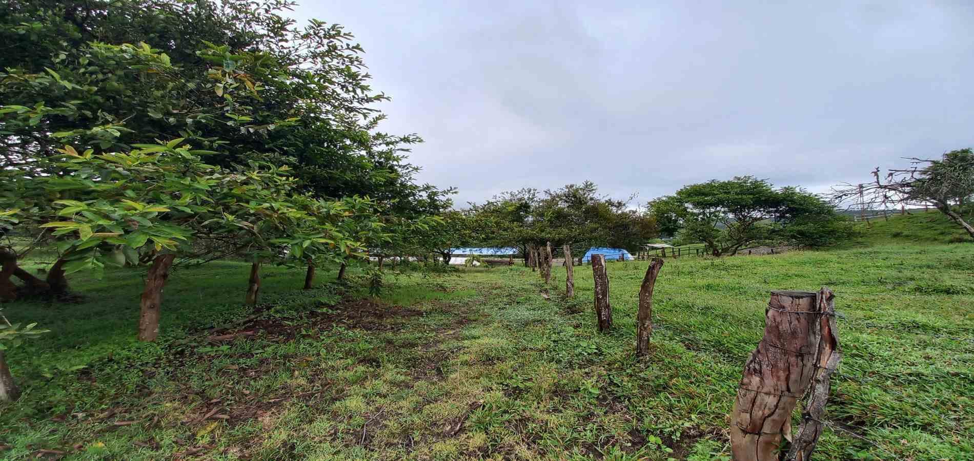 Foto de Lote / terreno en Venta en Veracruz, Santa rosa de cabal - 10 - 279066398