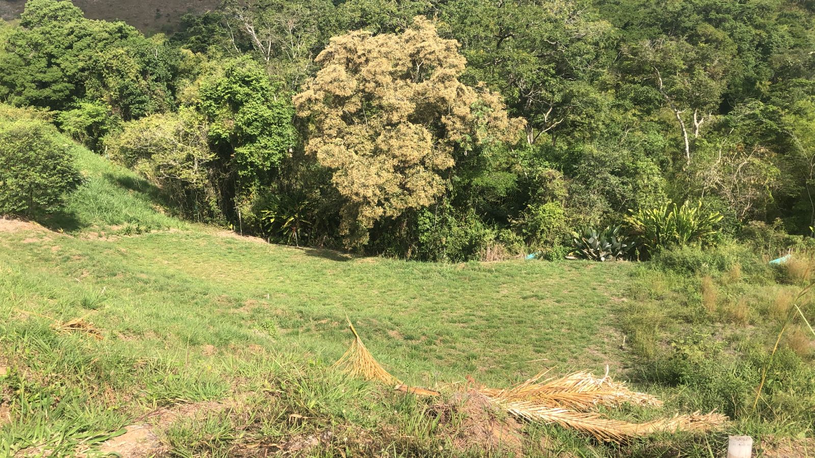 Foto de Lote / terreno para Venta en Cerritos, Pereira - 279055596