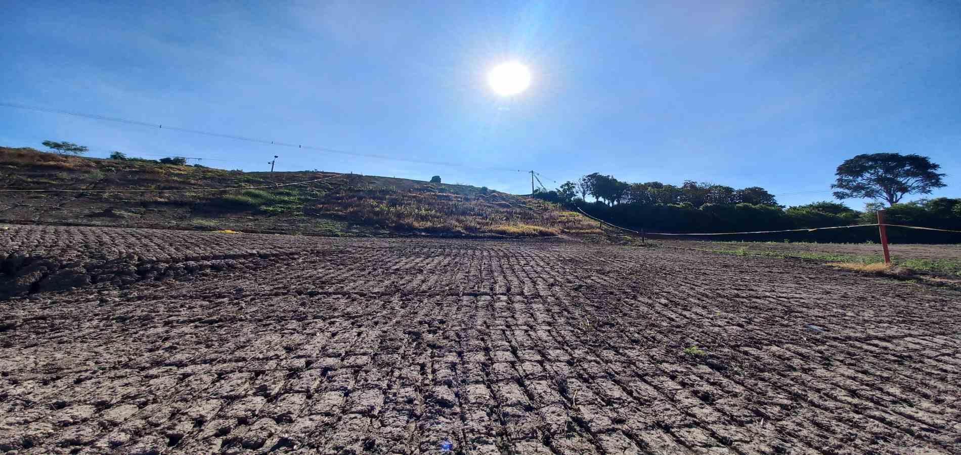 Foto de Lote / terreno para Venta en Vereda guacas, Santa rosa de cabal - 279067577