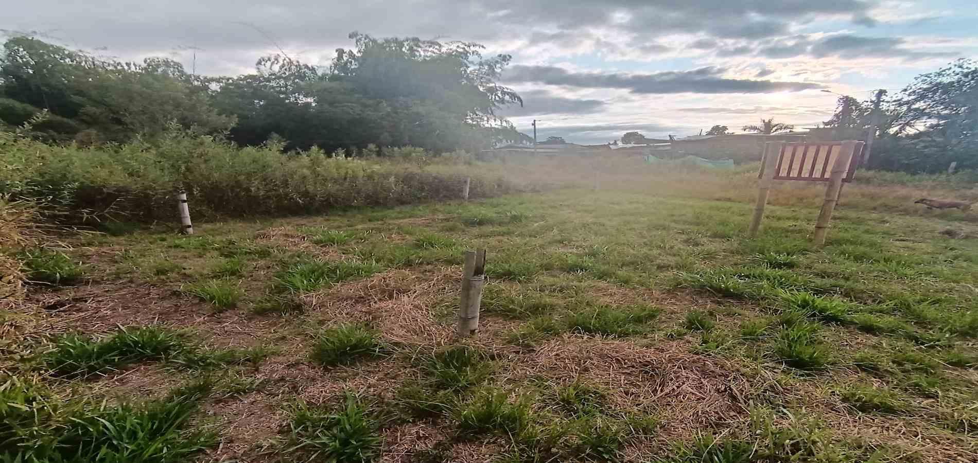 Foto de Lote / terreno en Venta en UrbanizaciÓn santana, Armenia  - 10 - 279059323