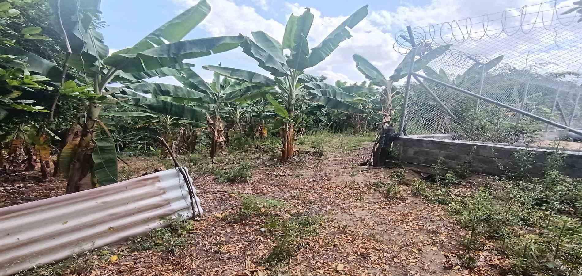 Foto de Lote / terreno en Venta en Puerto espejo, Armenia  - 8 - 279058857