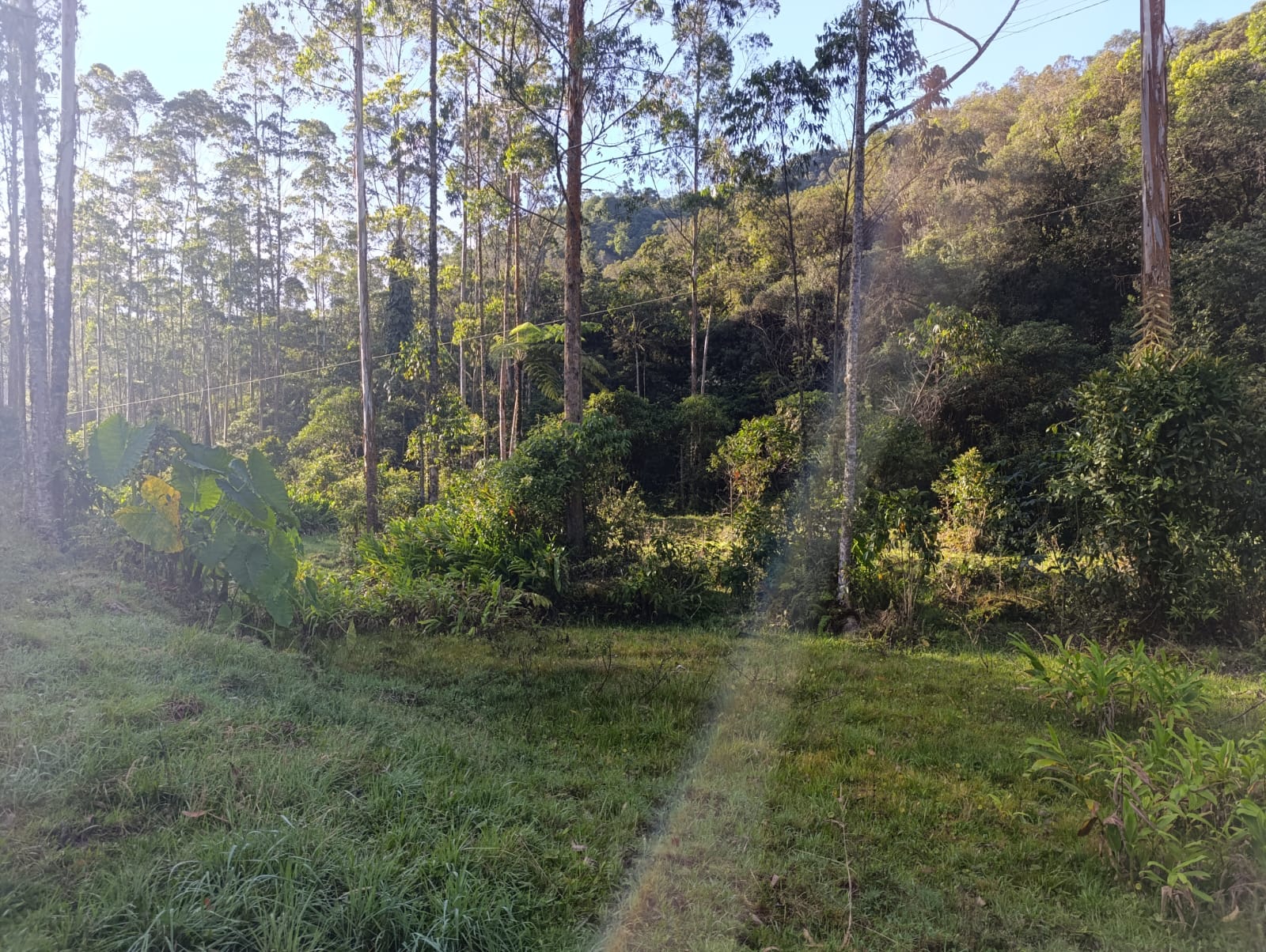 Foto de Lote / terreno en Venta en Santa rosa de cabal, Santa rosa de cabal - 9 - 279064480