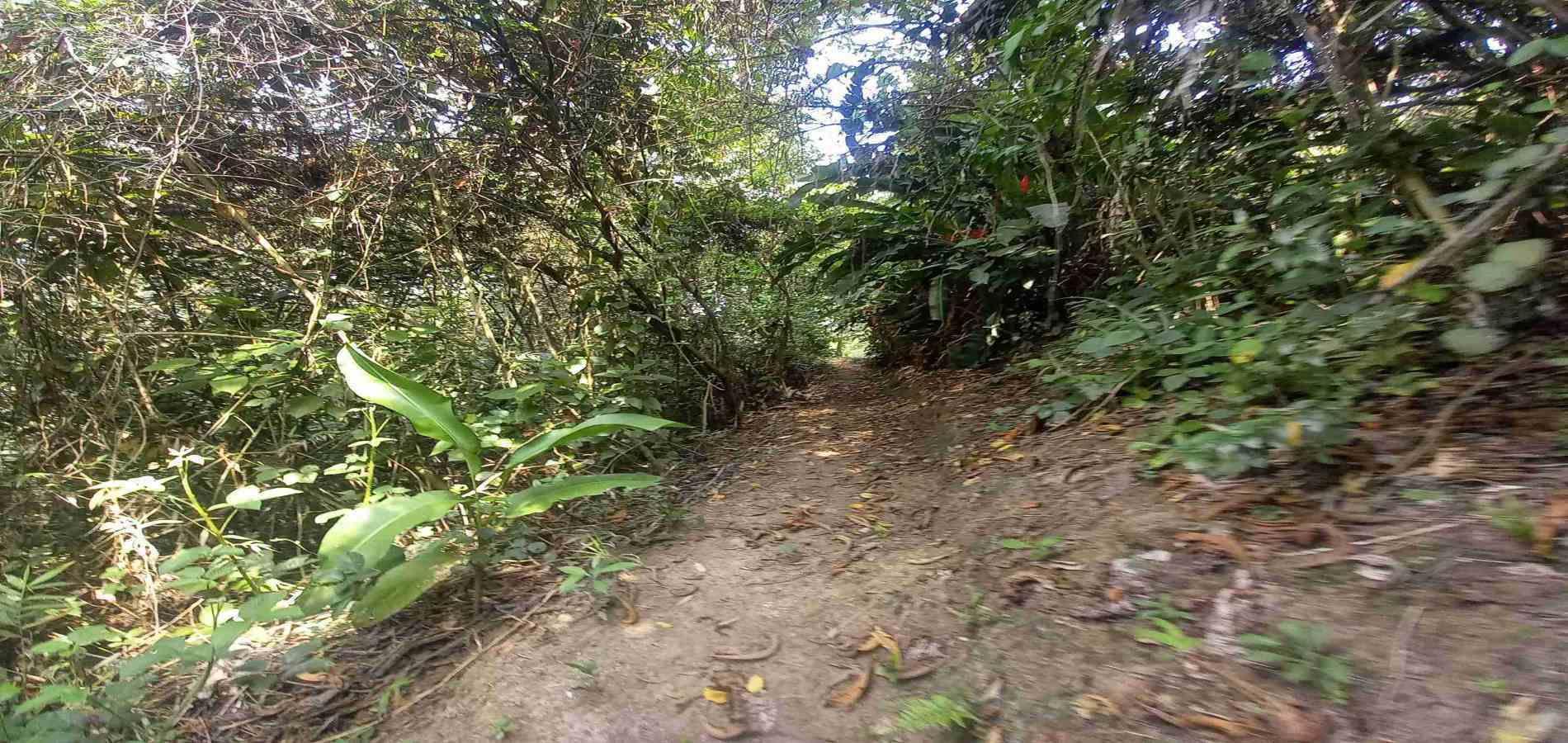 Foto de Lote / terreno en Venta en San peregrino, Manizales - 6 - 279056638