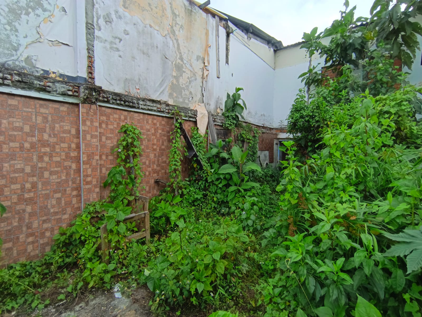 Foto de Lote / terreno en Venta en Fátima, Manizales - 14 - 279068979