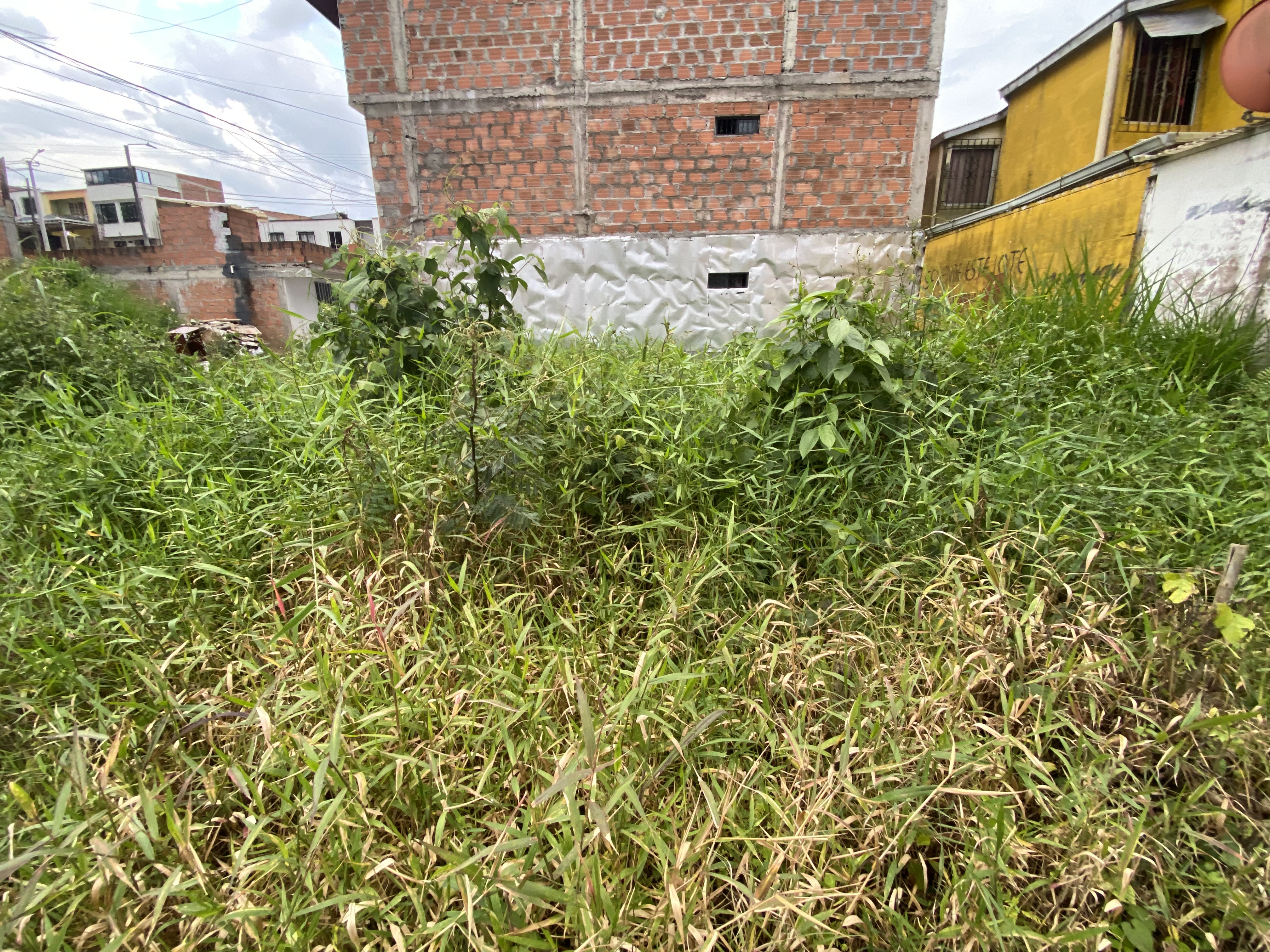 Foto de Lote / terreno en Venta en Colinas del bosque, Dosquebradas - 4 - 279066259