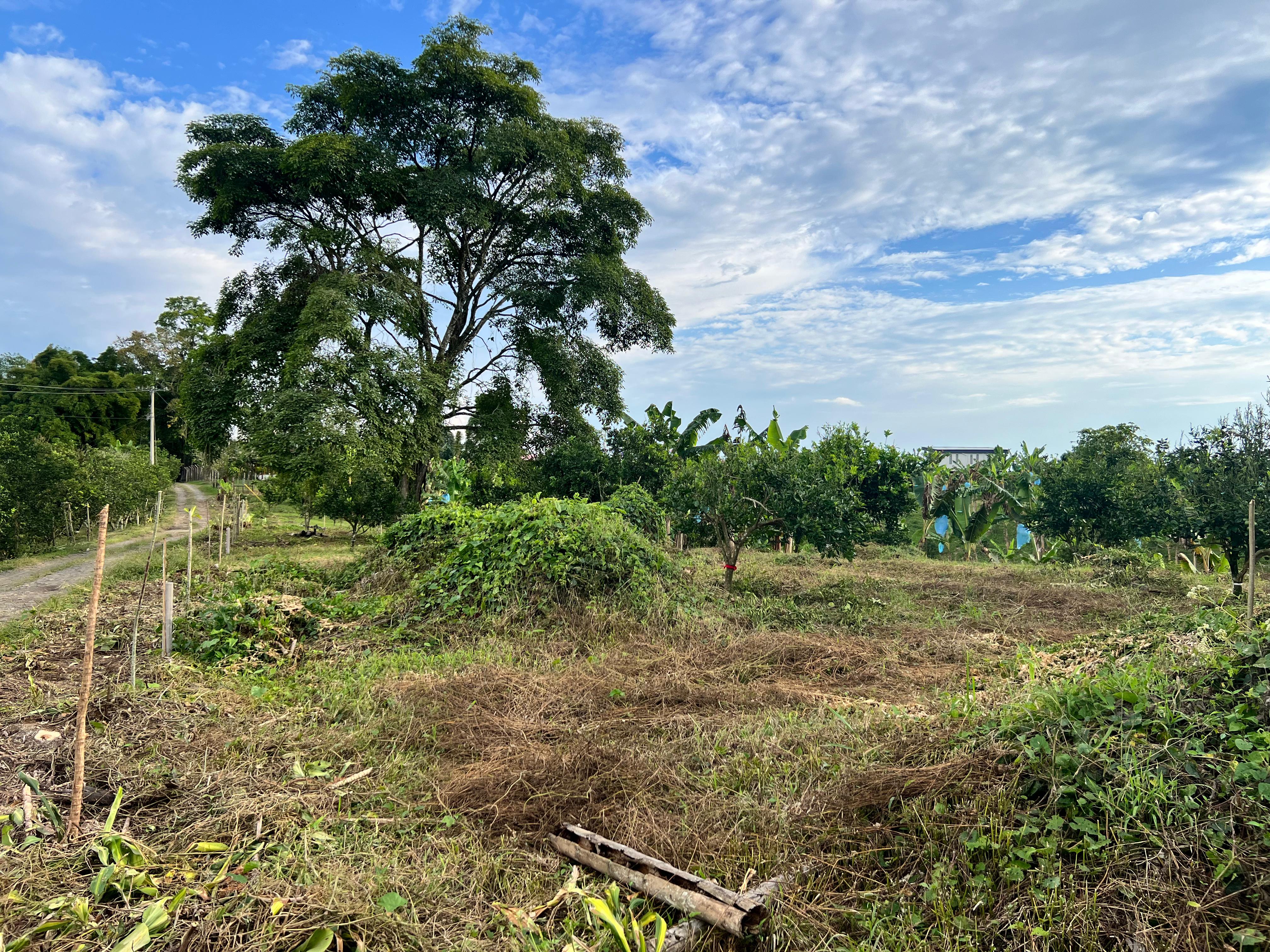 Foto de Lote / terreno en Venta en Filandia, Filandia - 19 - 279066855