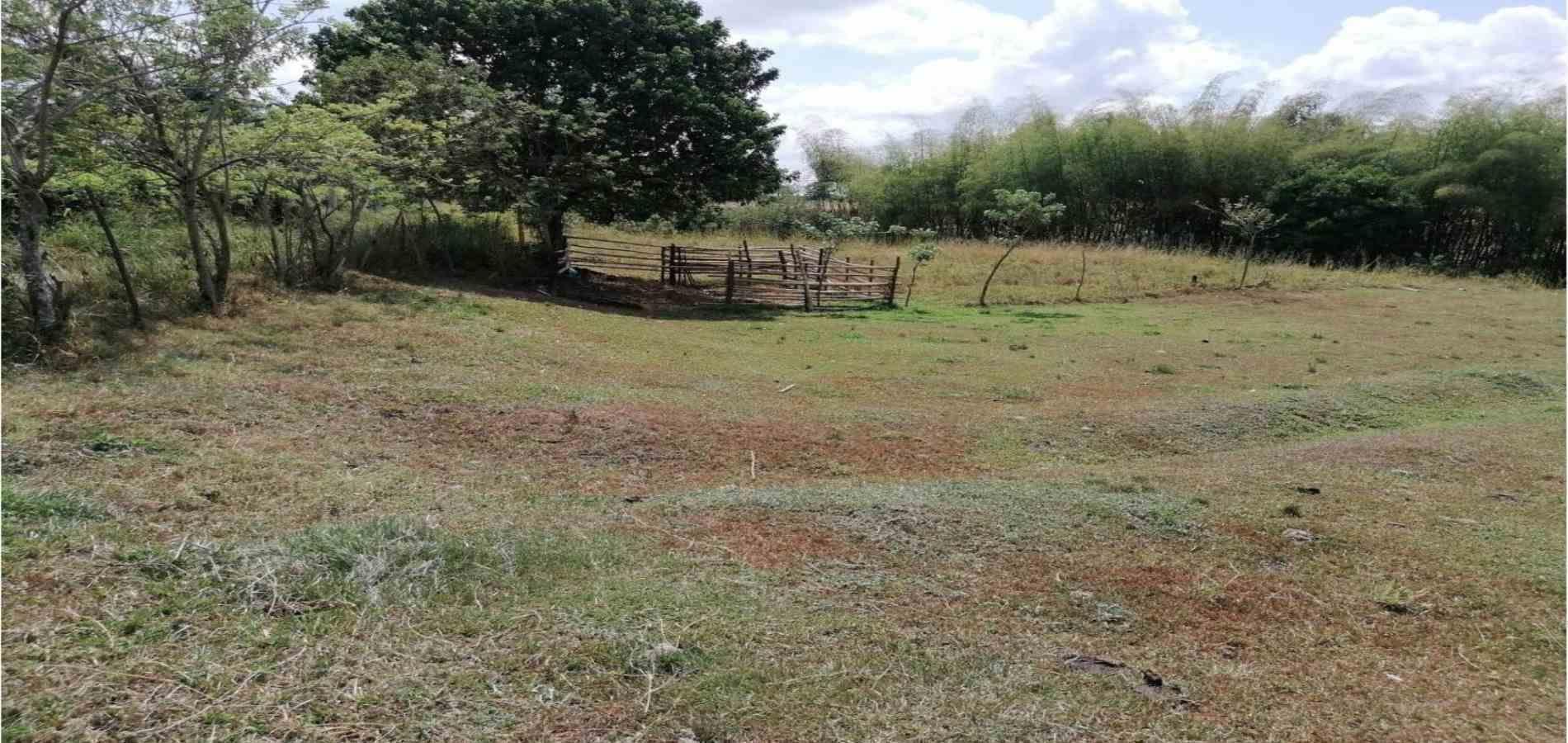 Foto de Lote / terreno para Venta en Cerritos, Pereira - 2791024501