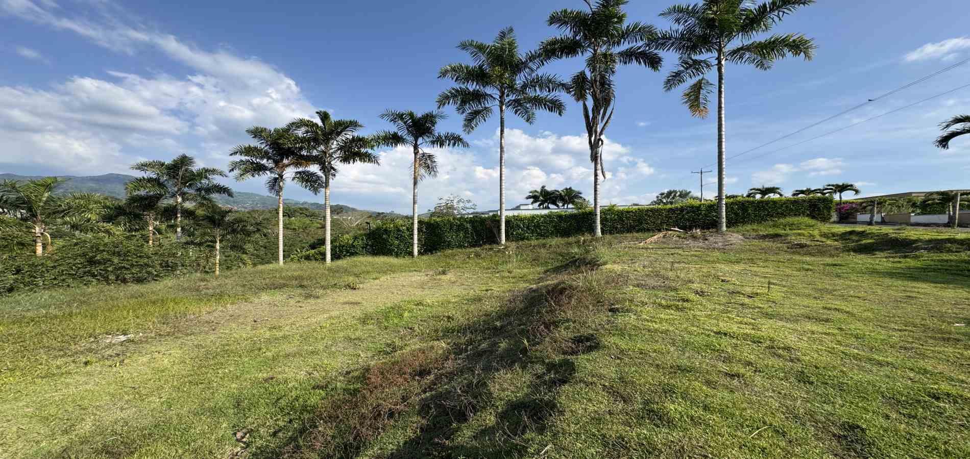 Foto de Lote / terreno en Venta en Combia, Pereira - 3 - 279060485
