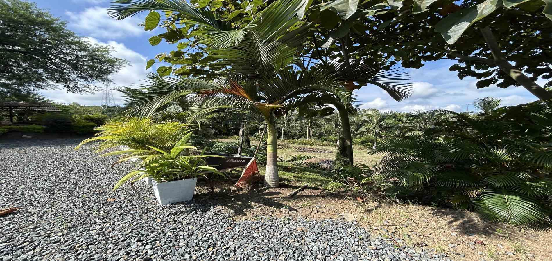 Foto de Lote / terreno en Venta en Cerritos, Pereira - 2 - 279068246
